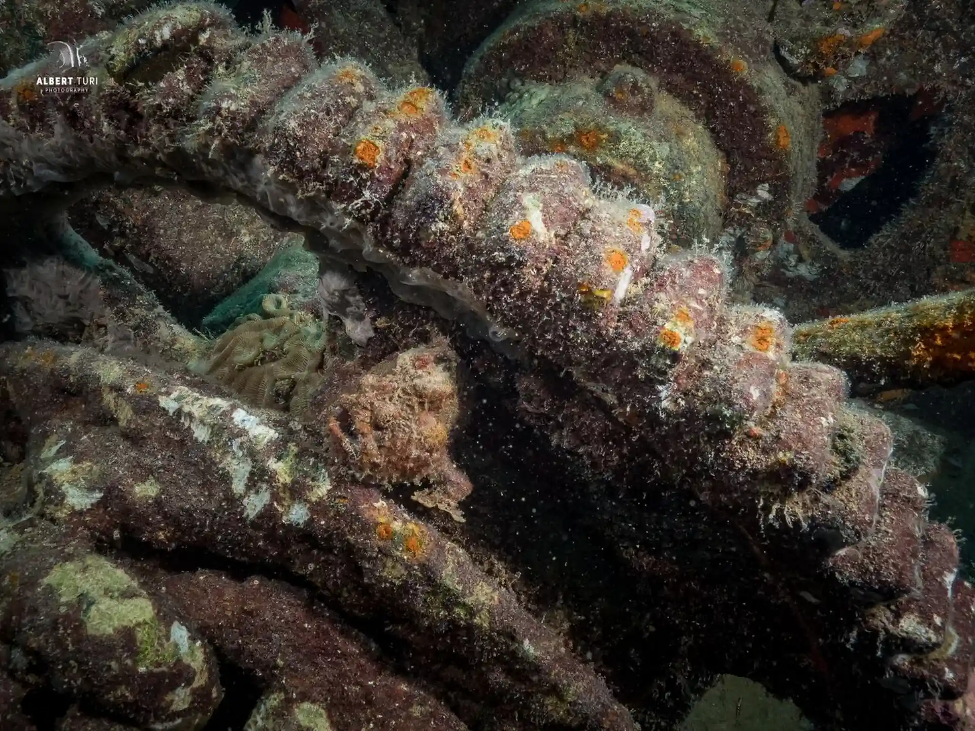 Foto des Tauchplatzes