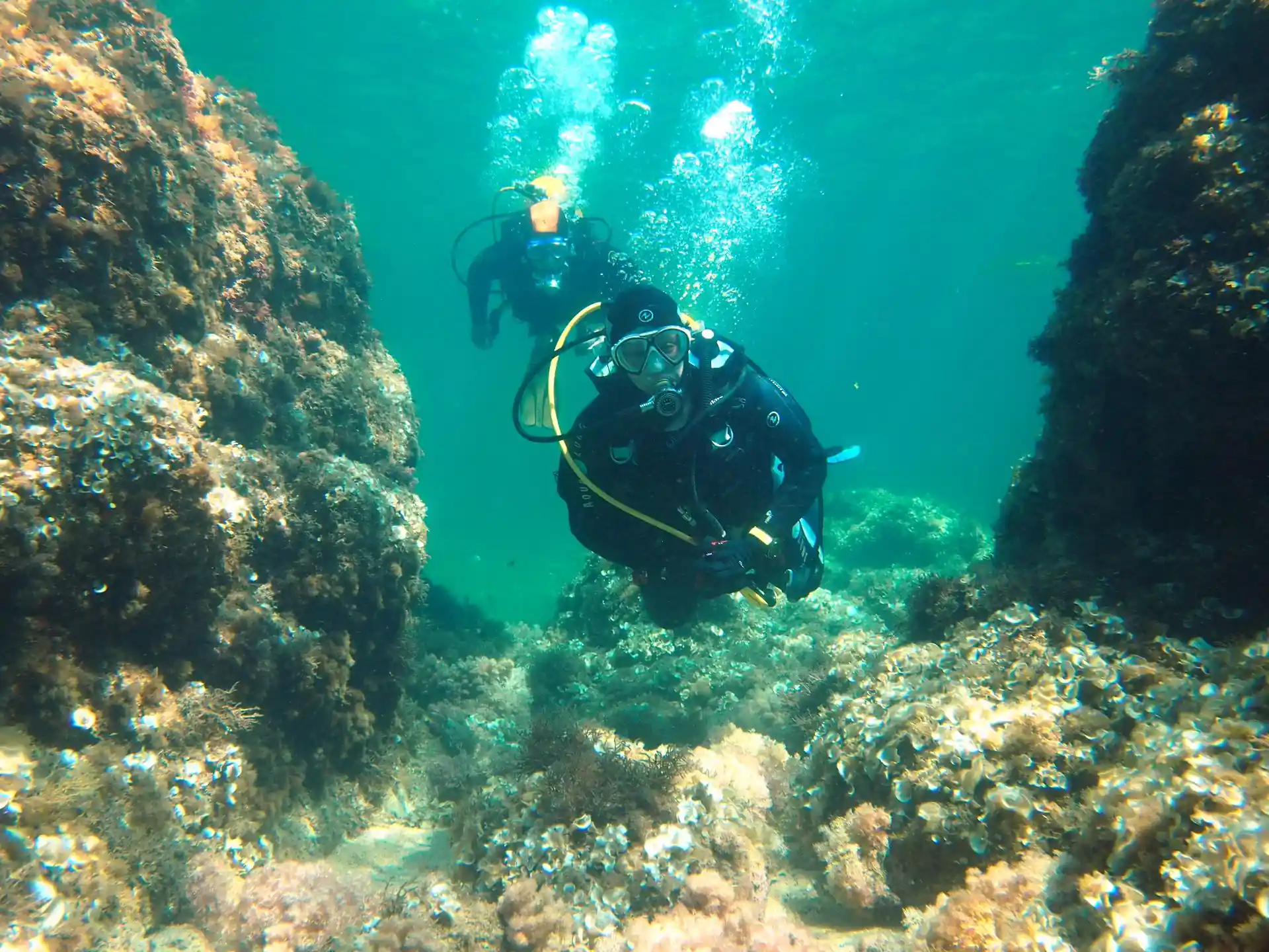 Dive site photo