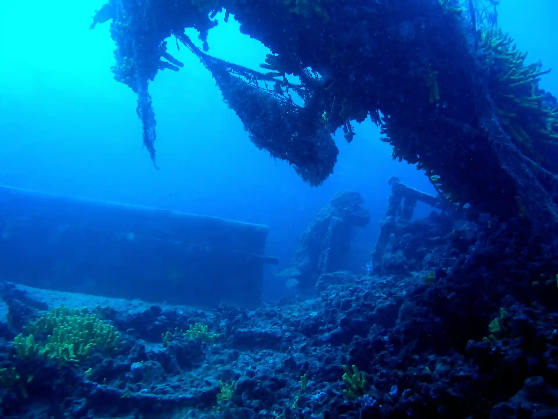 Dive site photo