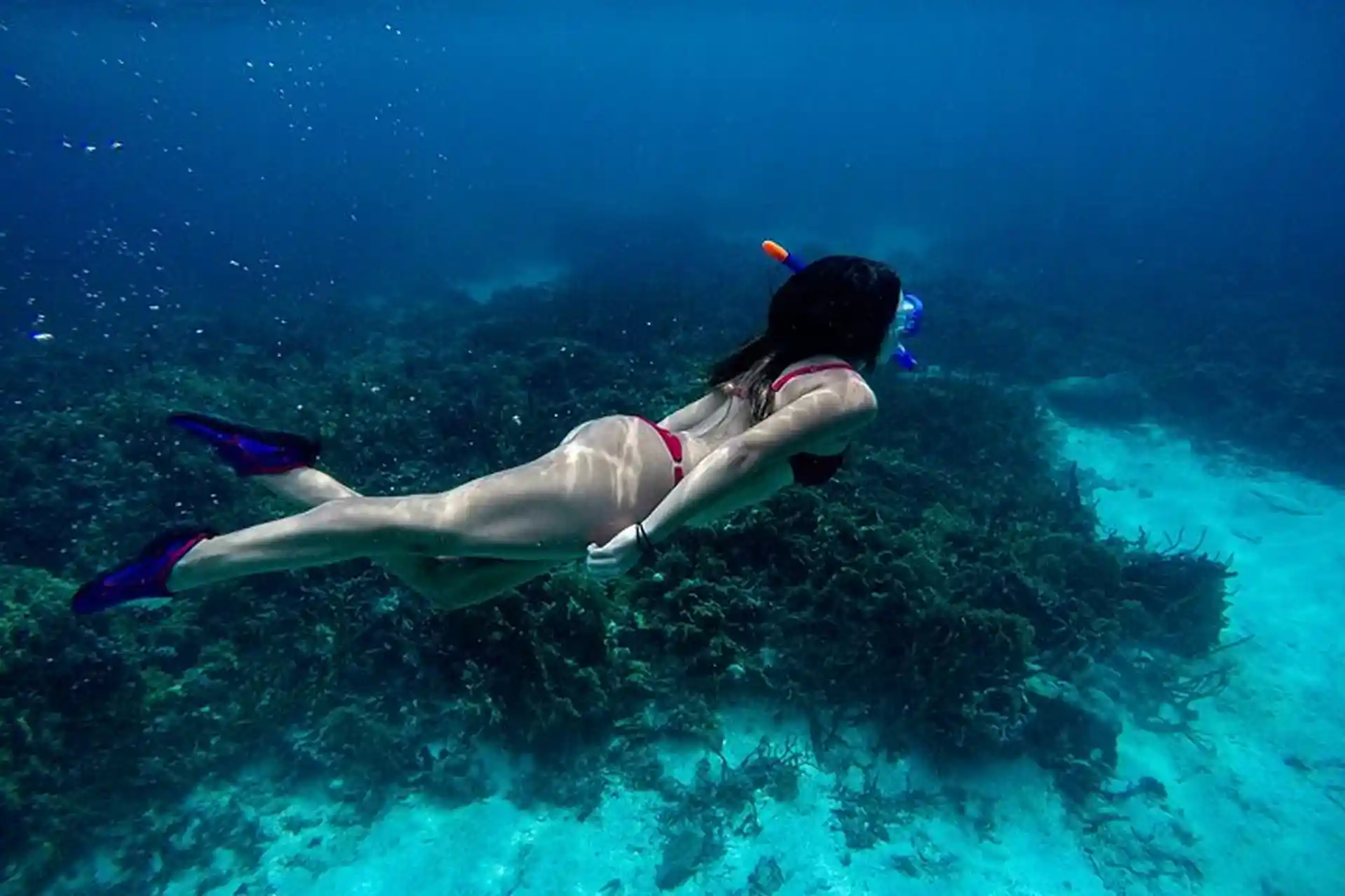 Nemo DIving Center