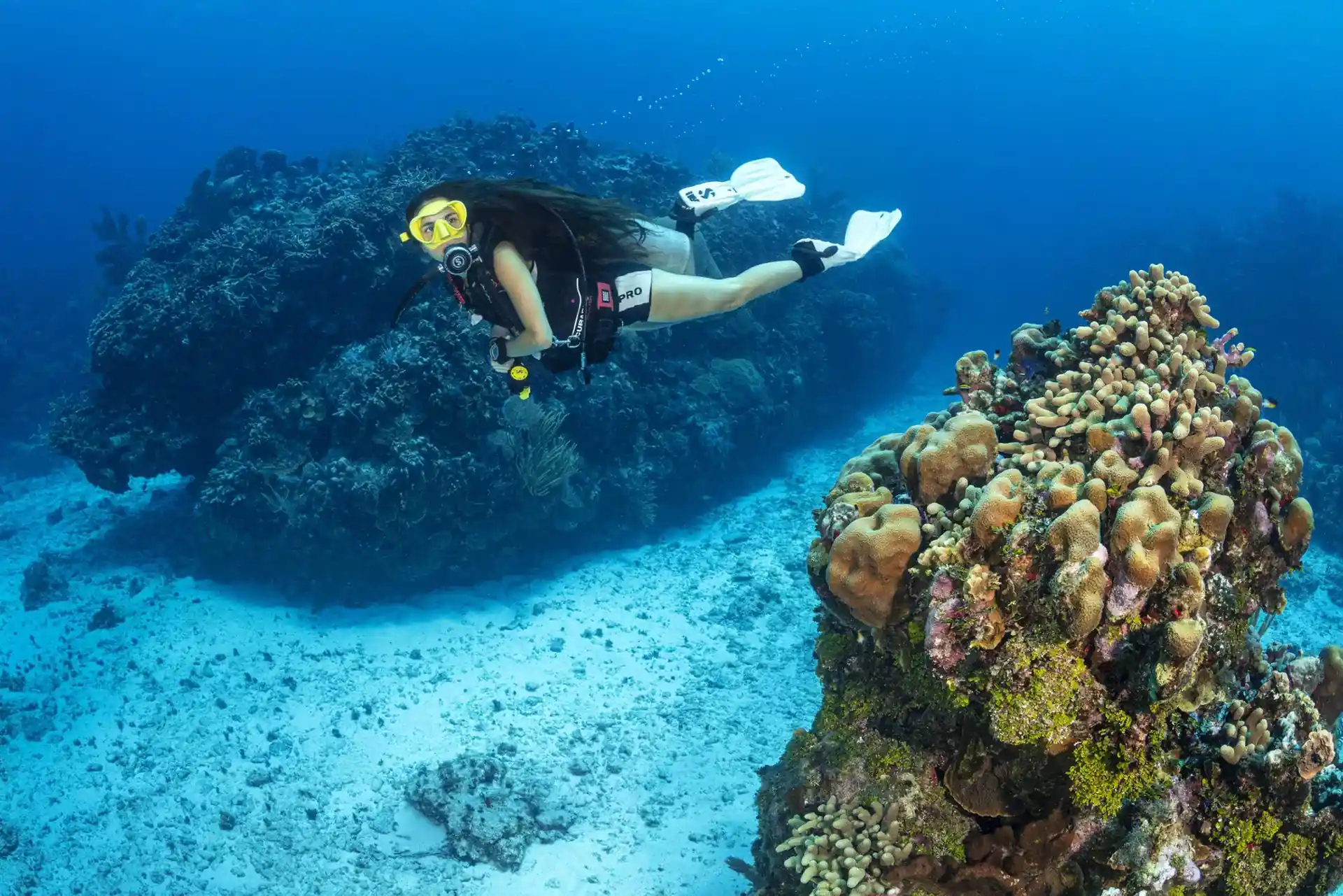 Dive site photo