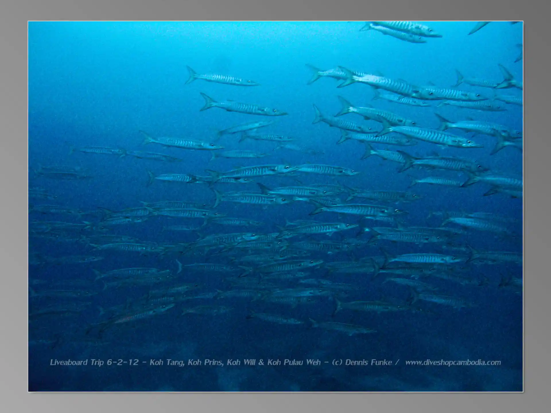 Dive site photo