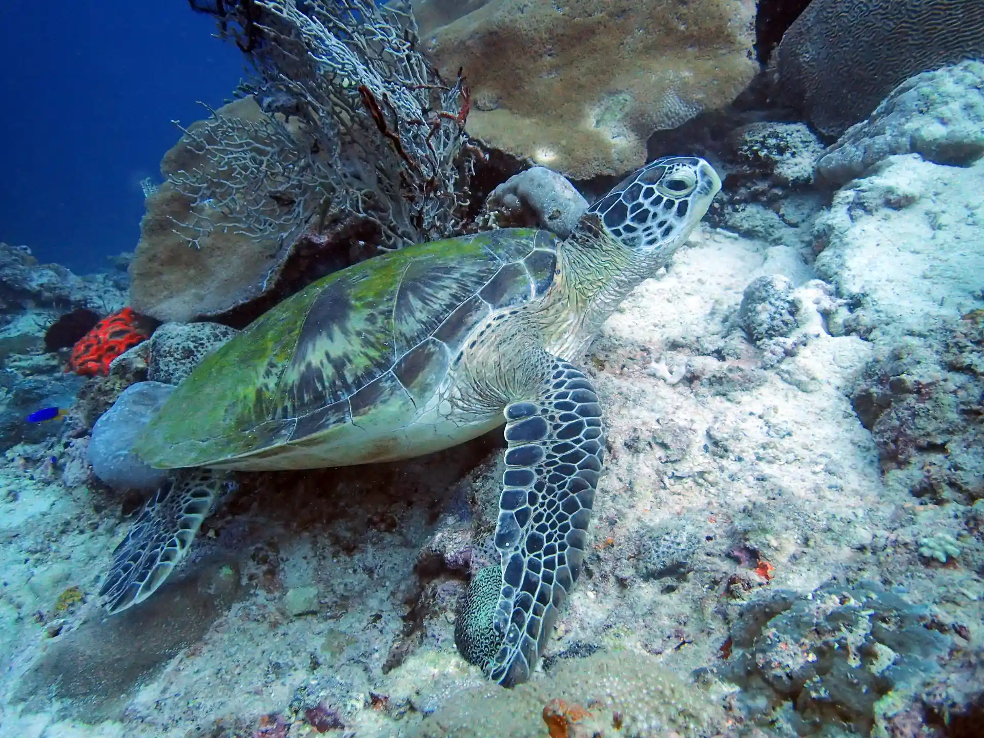 Photo de l'activité