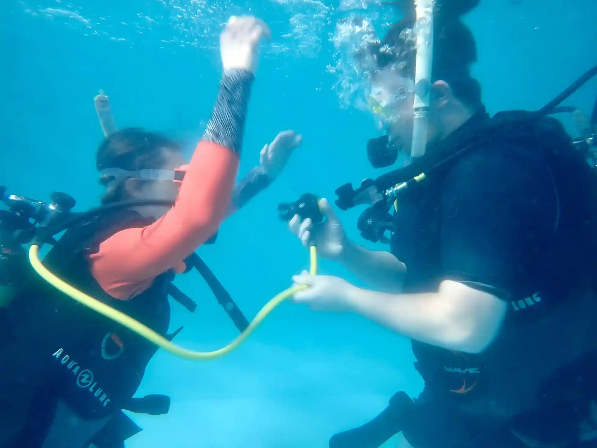 Dive shop photo