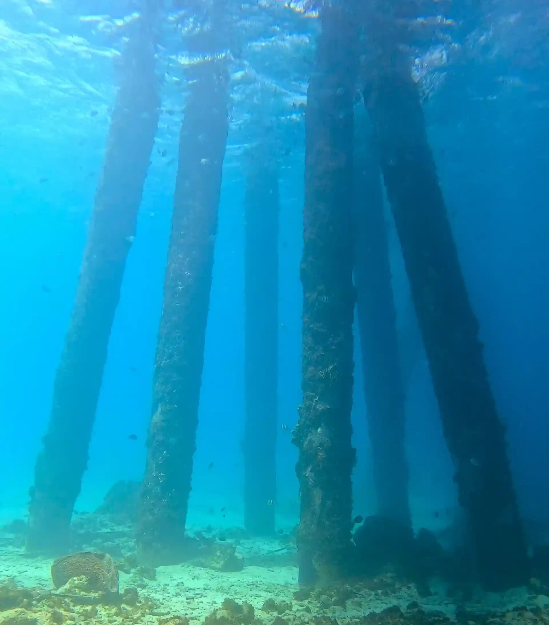 Foto de la tienda de buceo