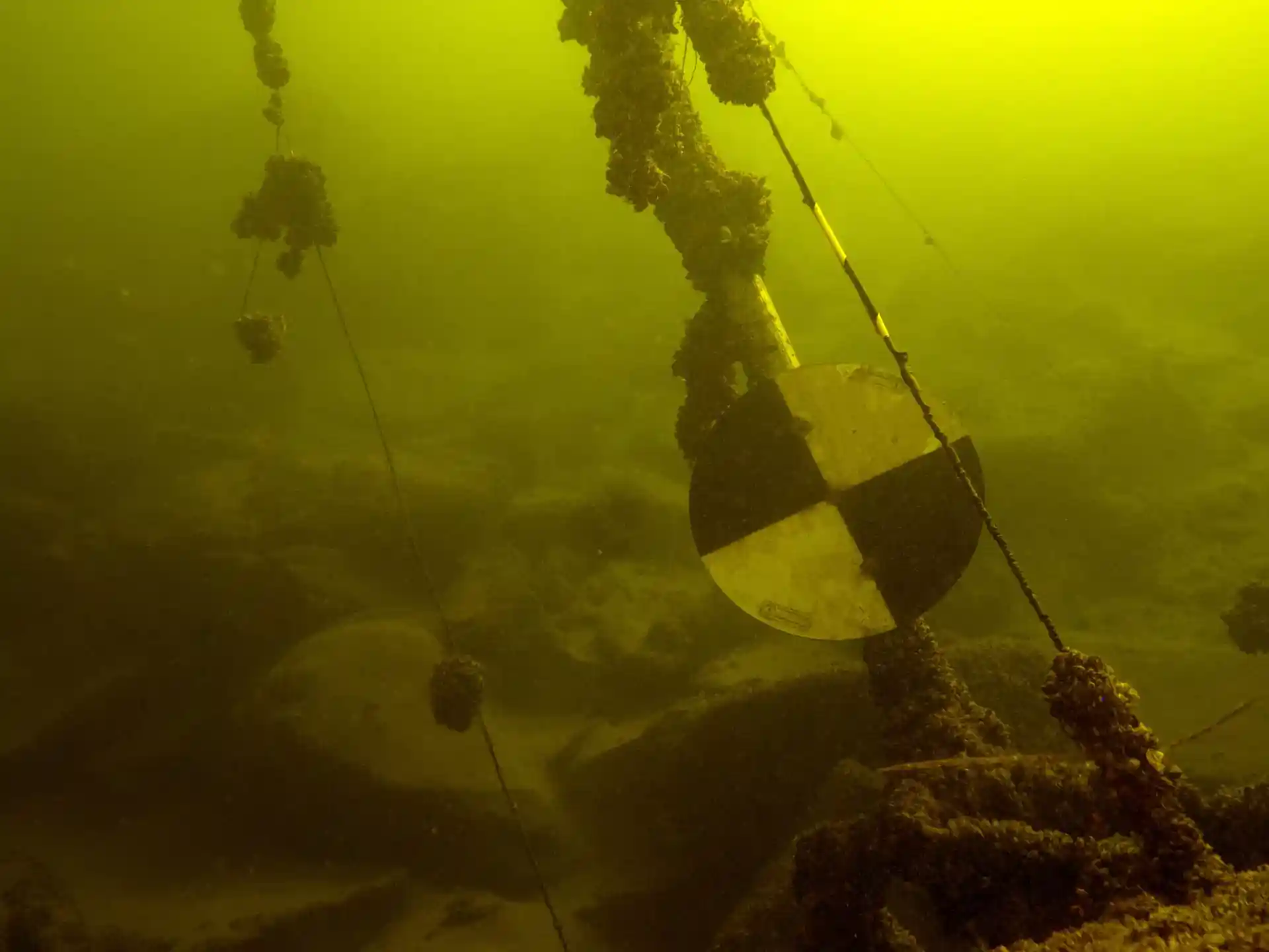 Dive site photo
