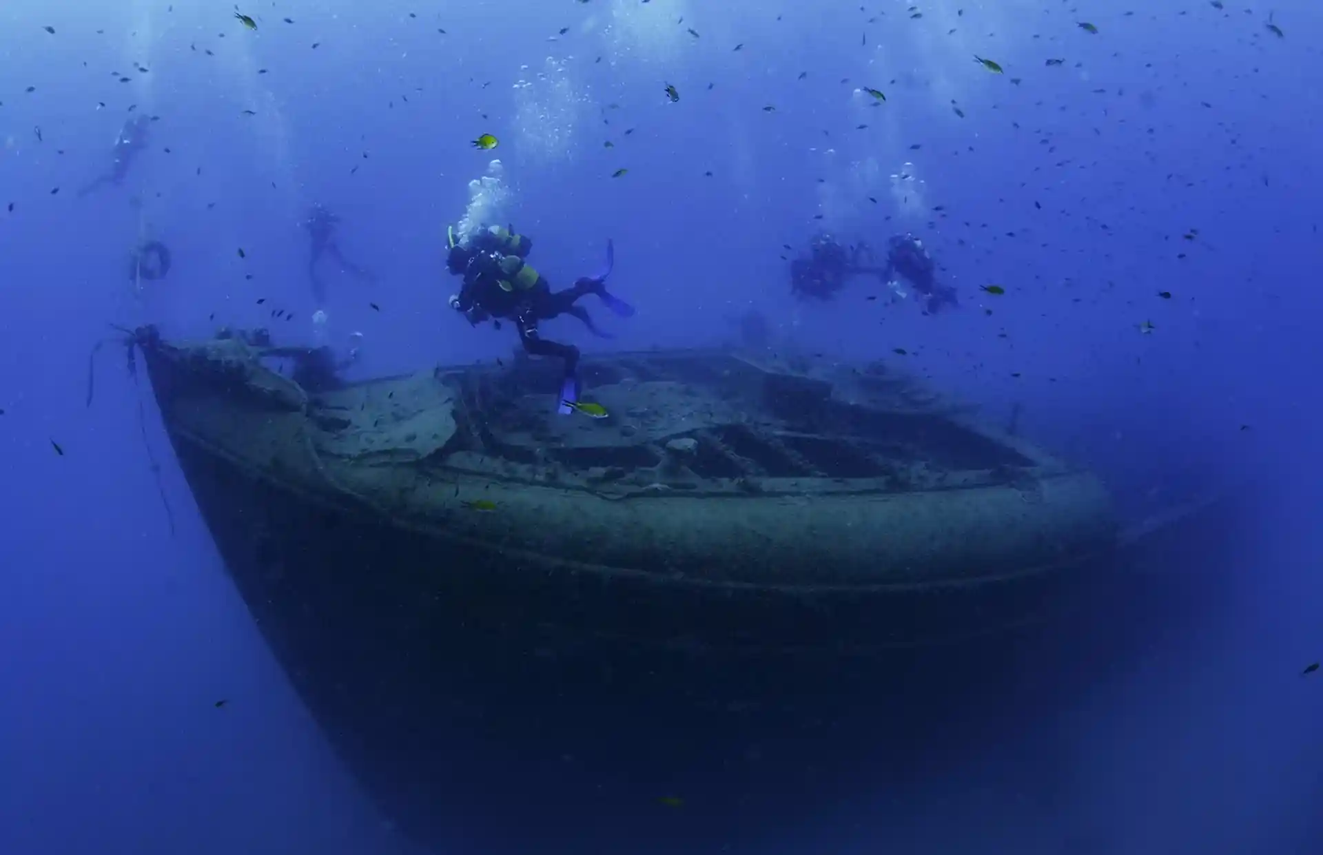 Dive site photo