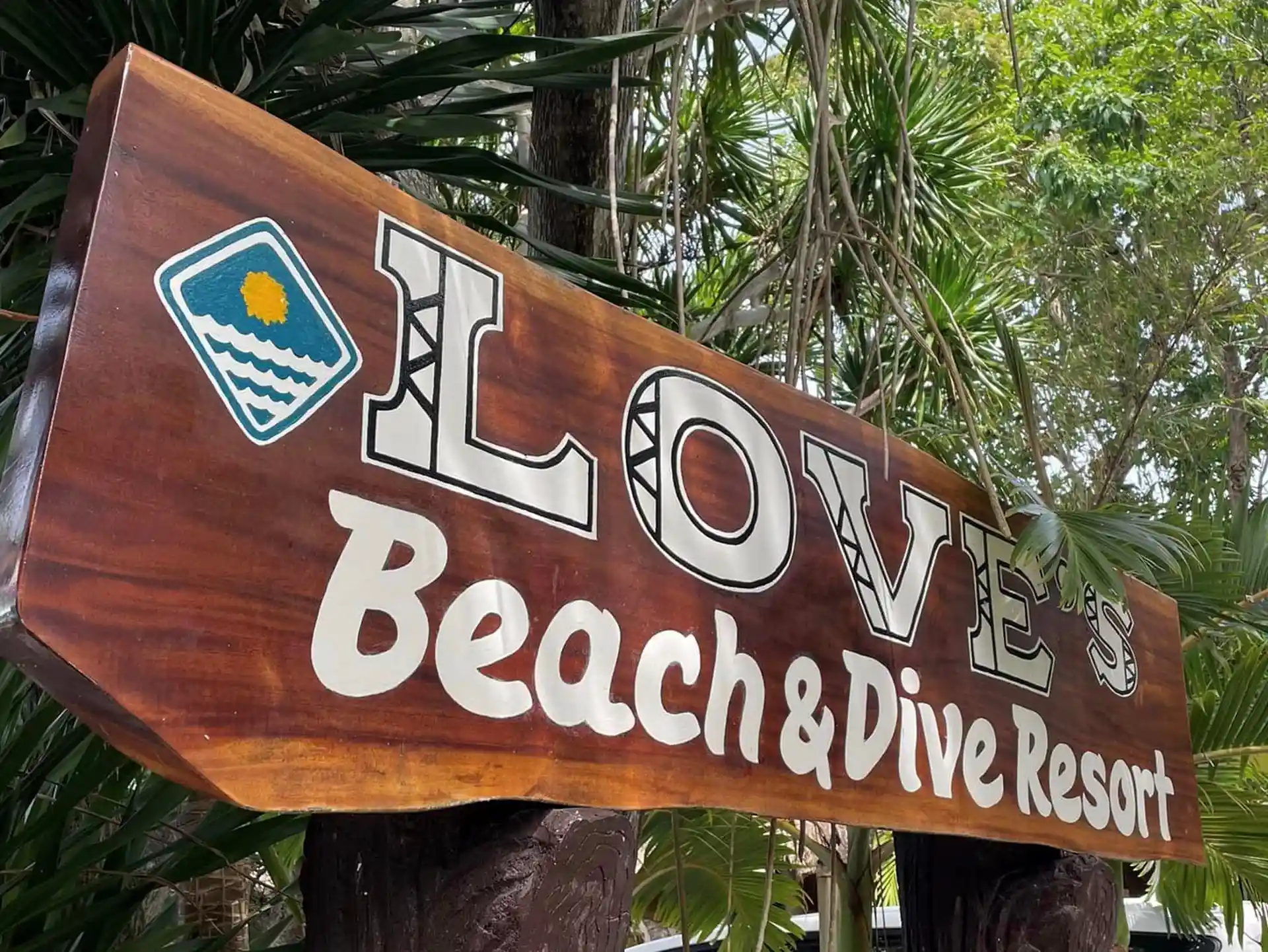 Foto de la actividad