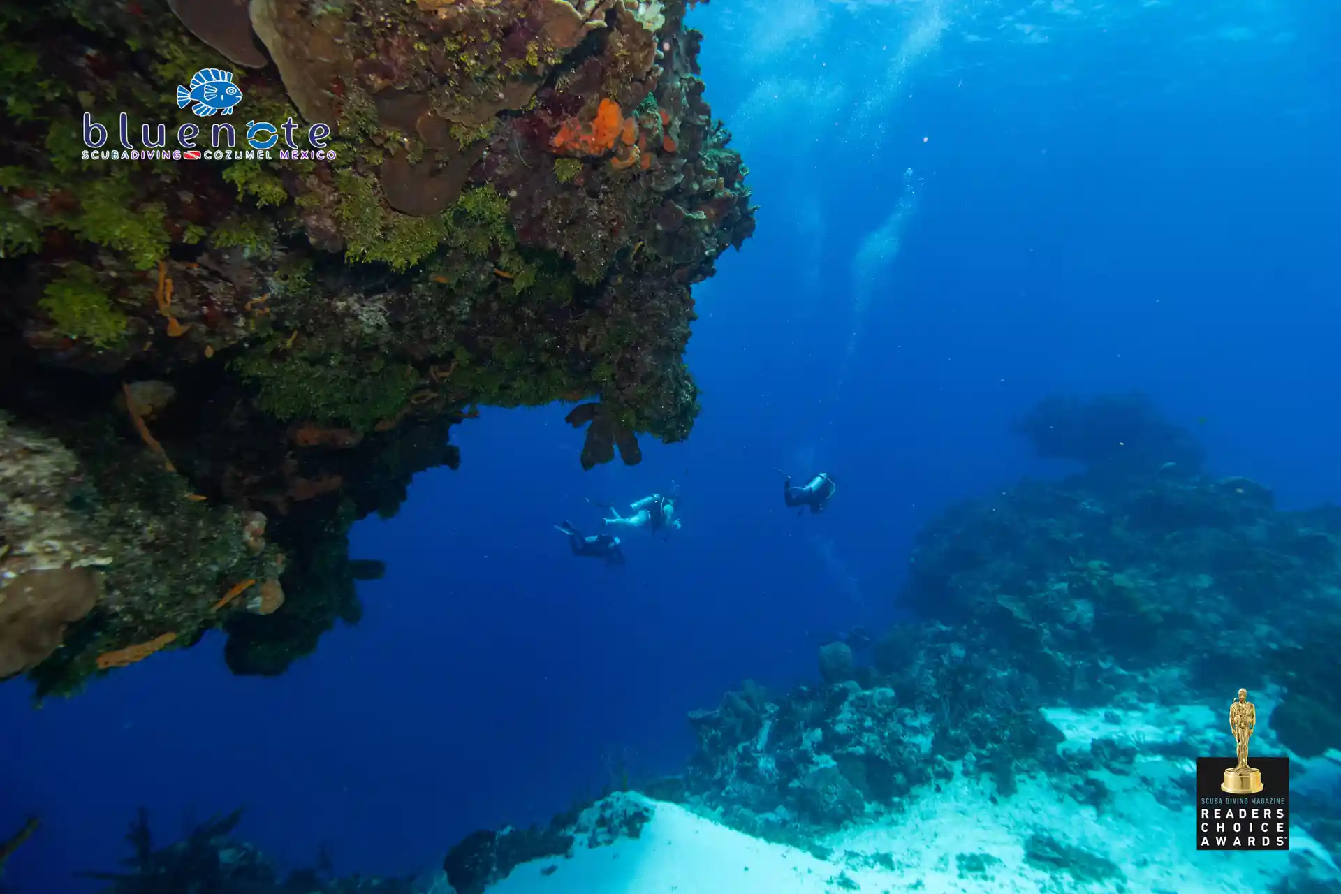 Foto de la actividad