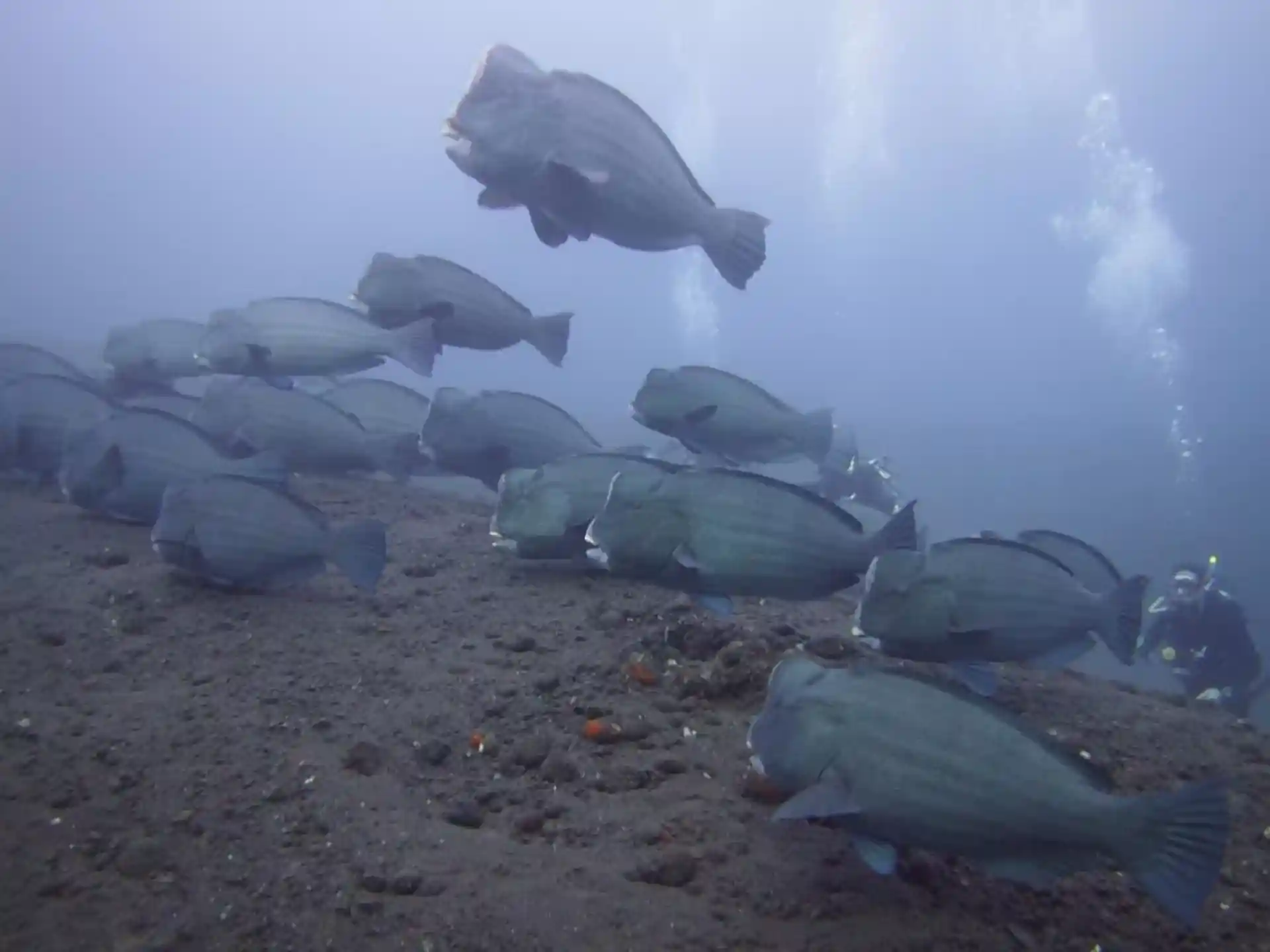 Photo de l'activité