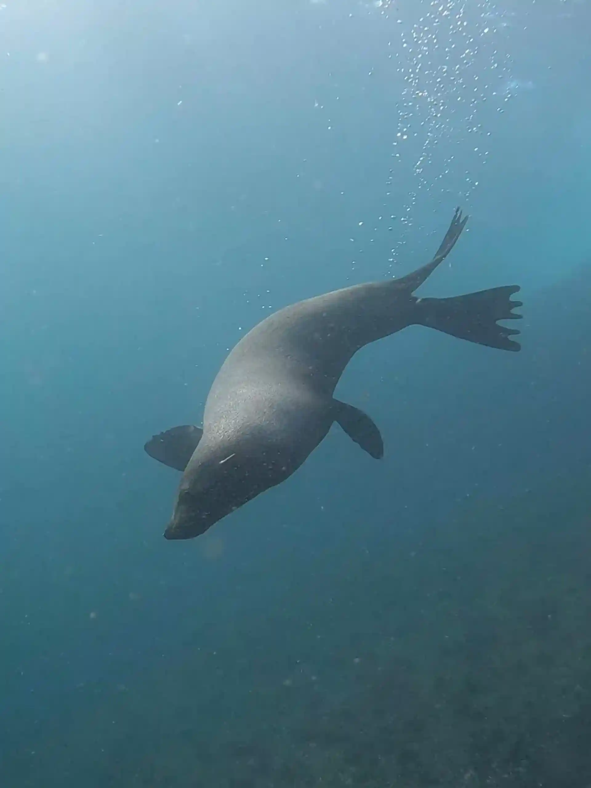 Dive site photo