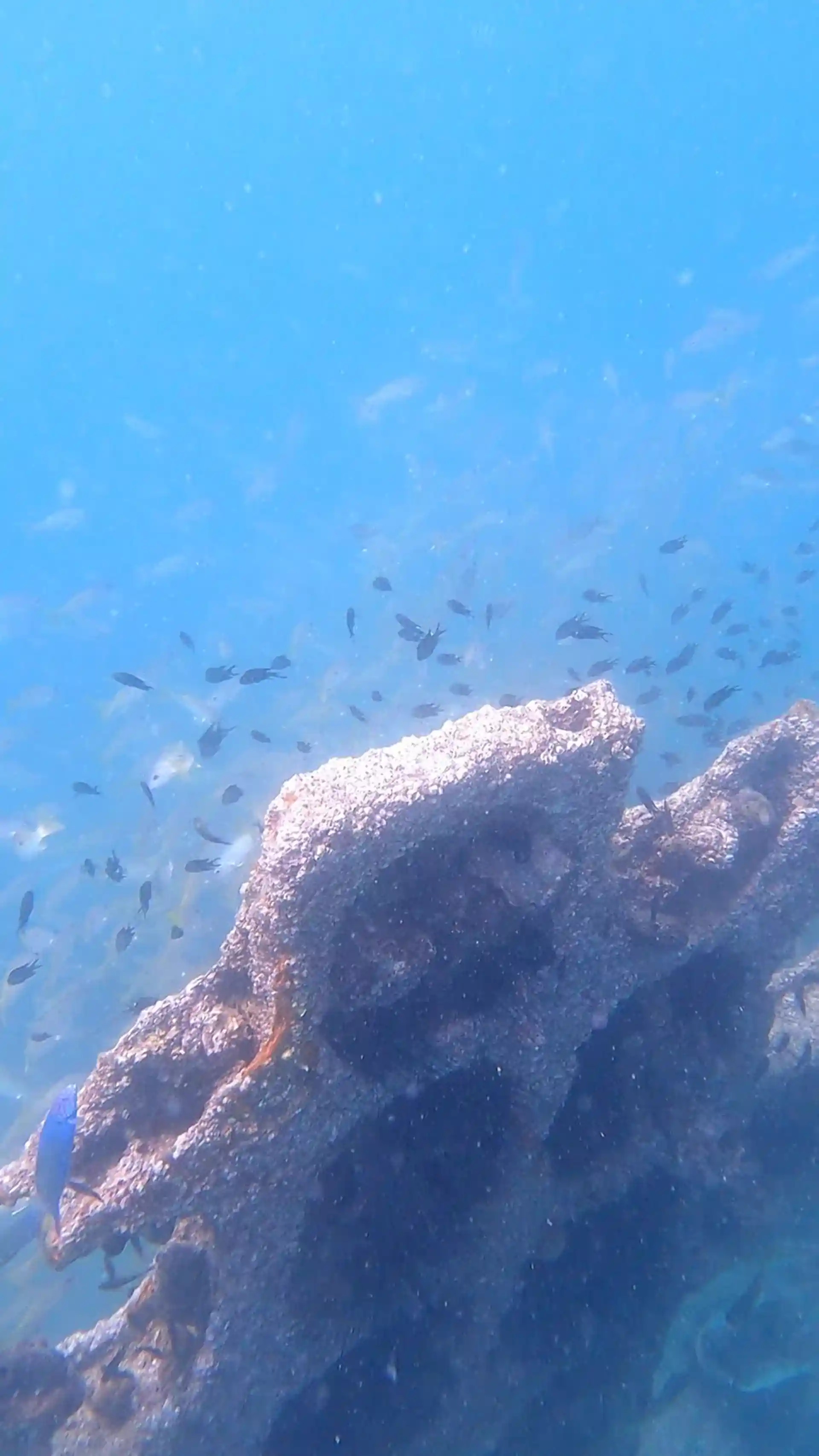 Dive site photo