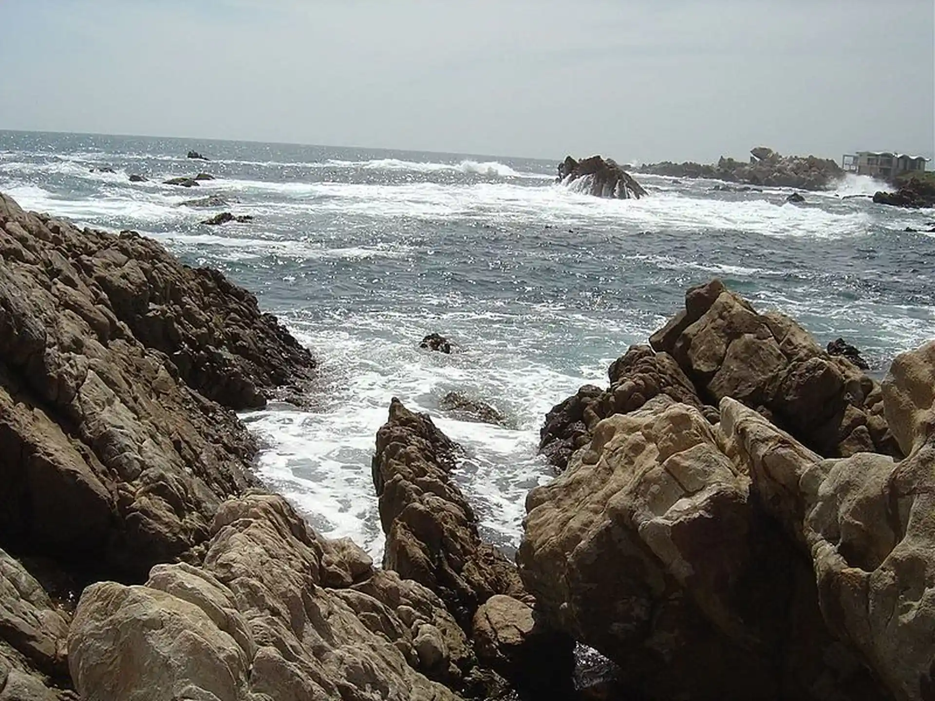 ダイビングサイトの写真