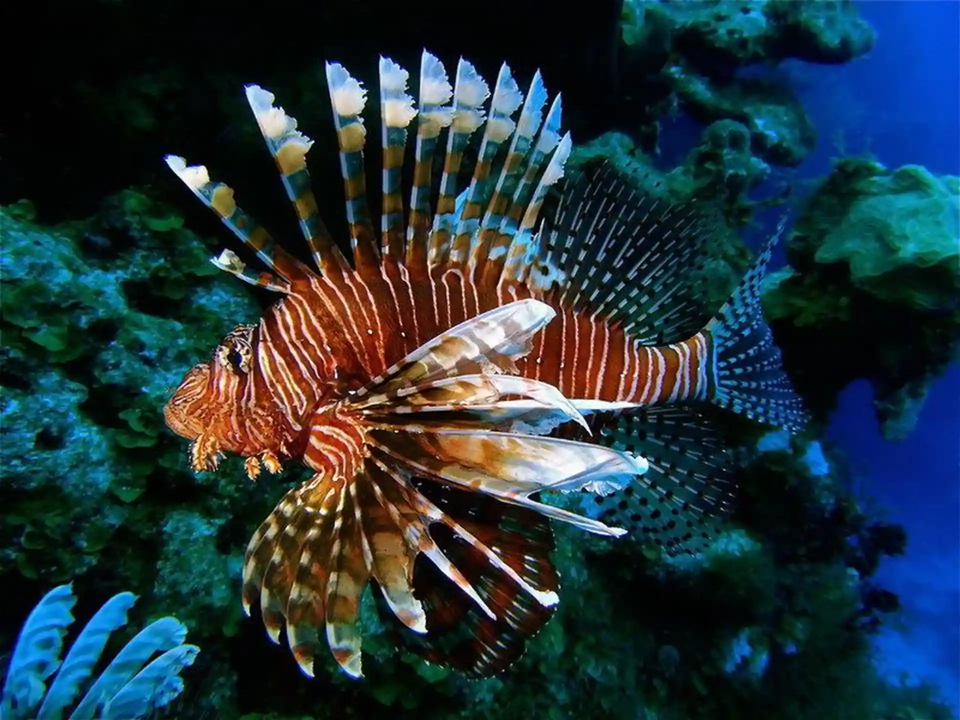 Foto de la actividad