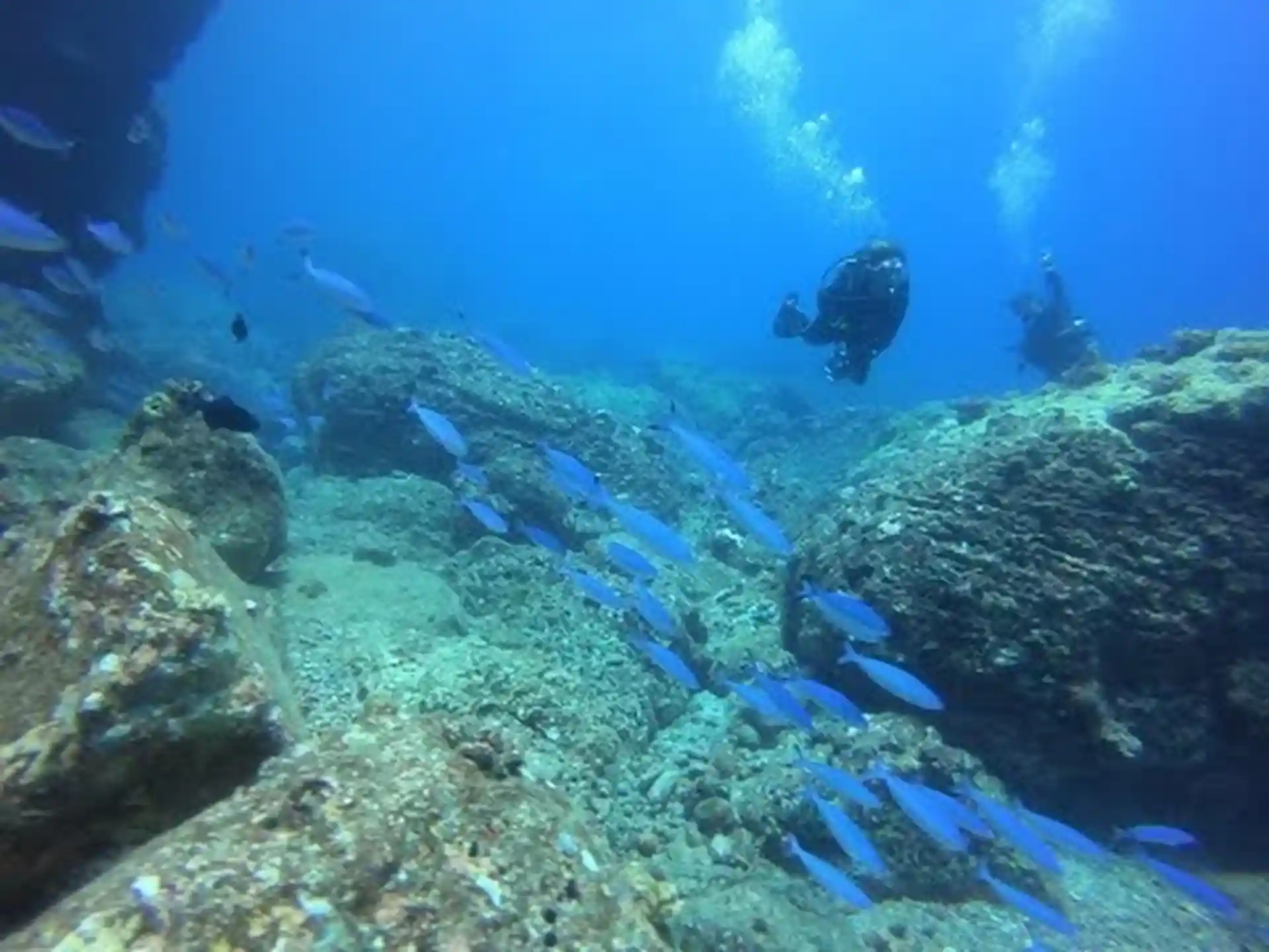 Incredible visibility