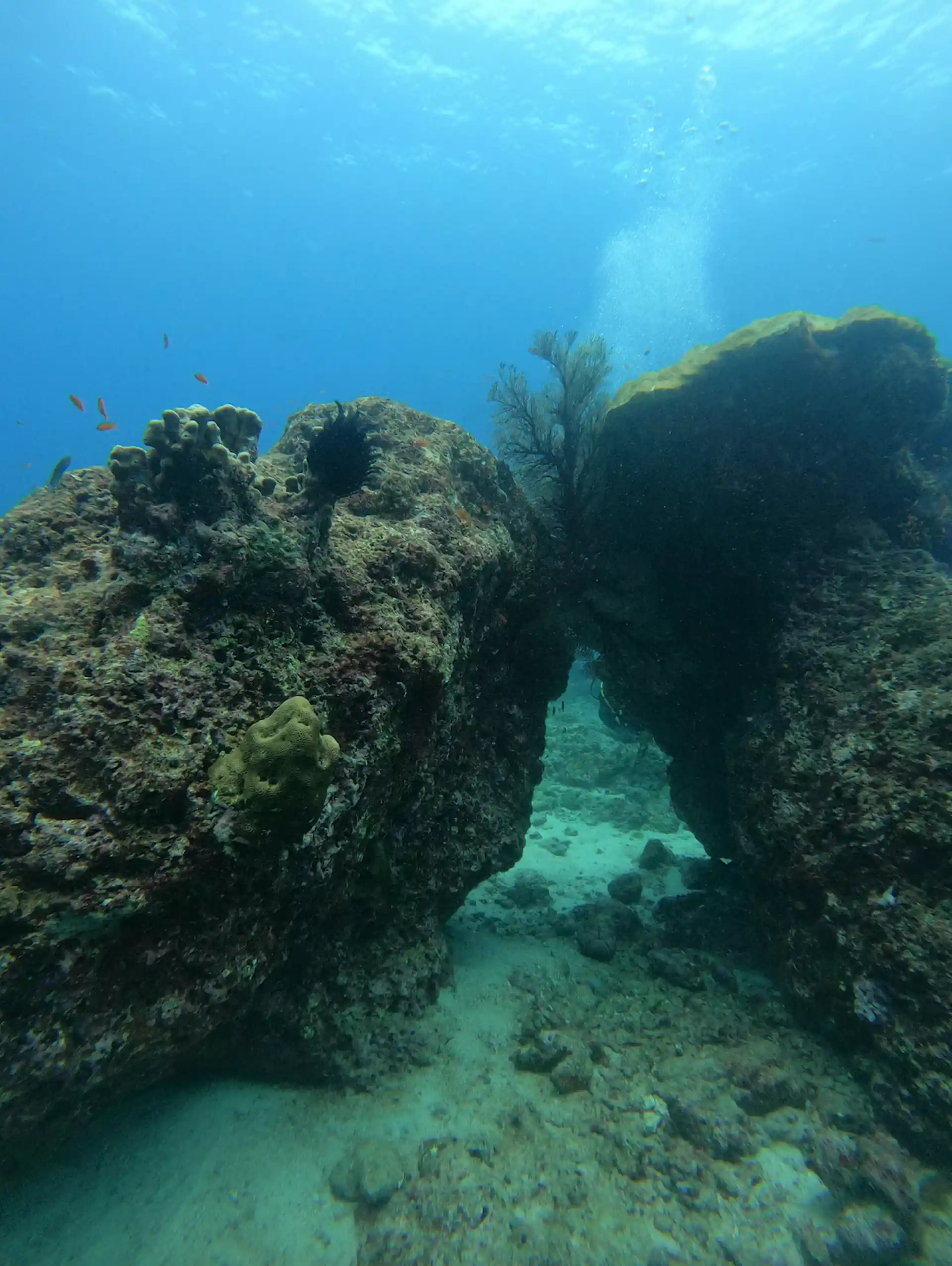 Dive site photo