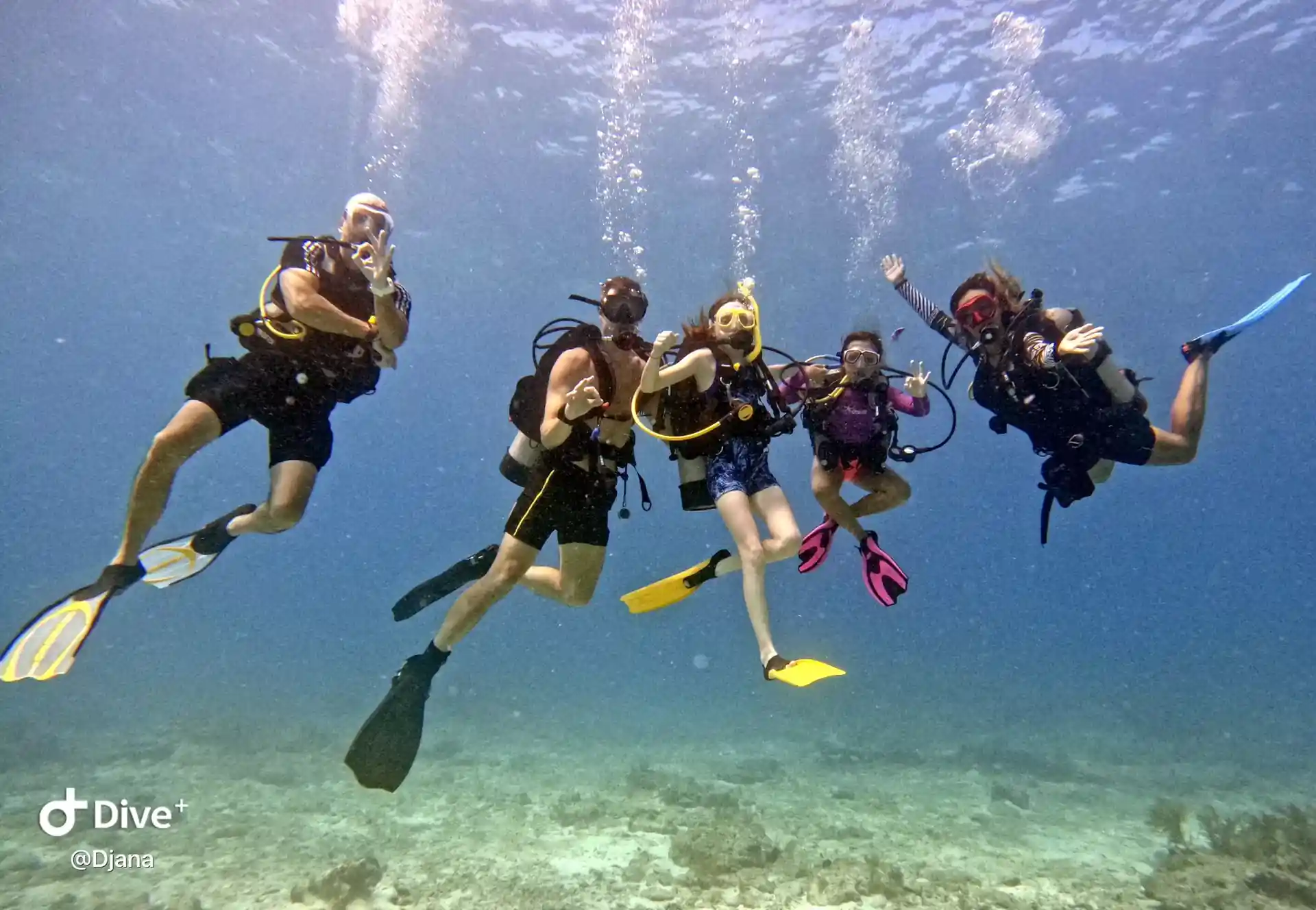 Dive shop photo