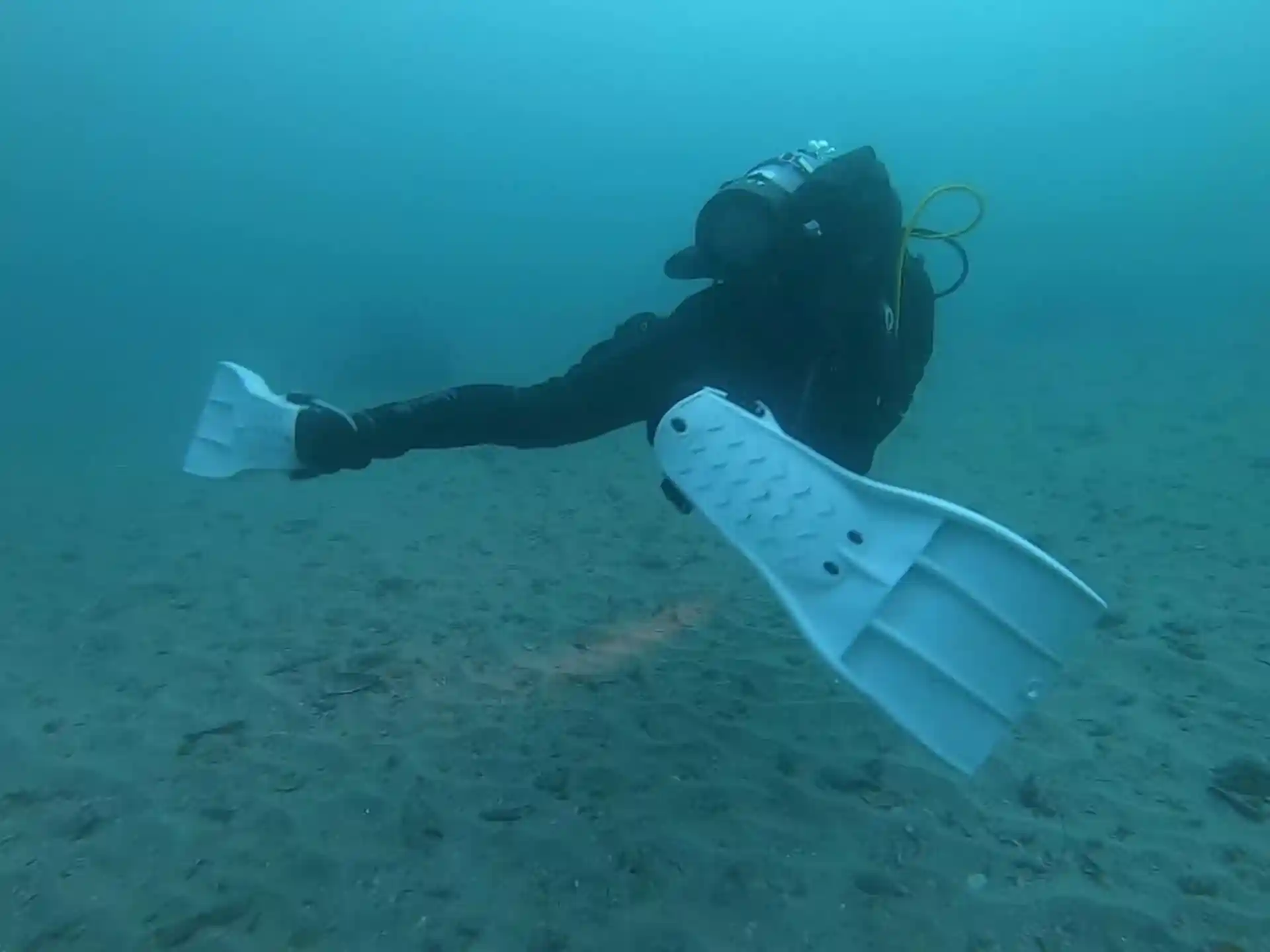 Dive shop photo