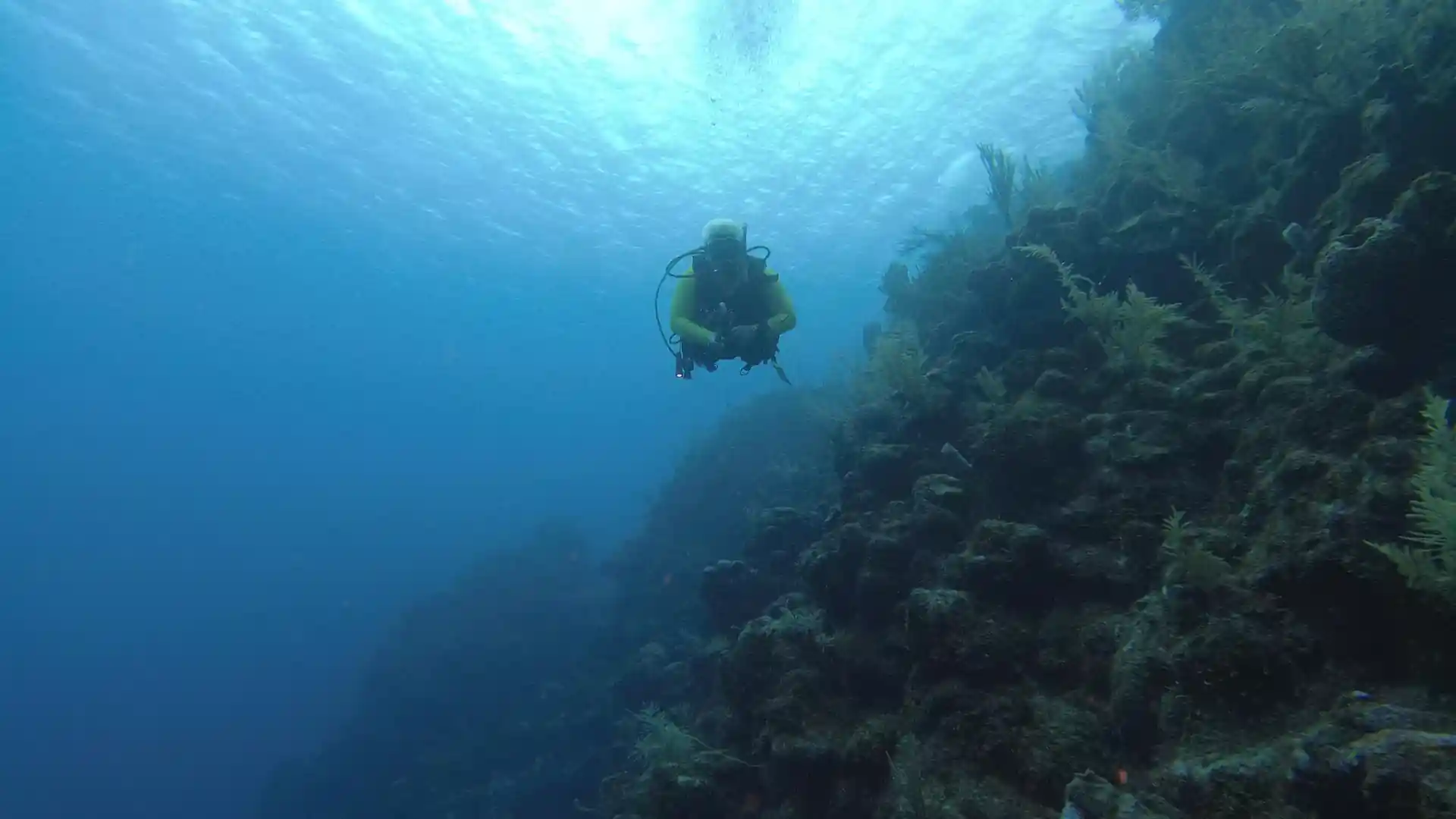 Dive site photo