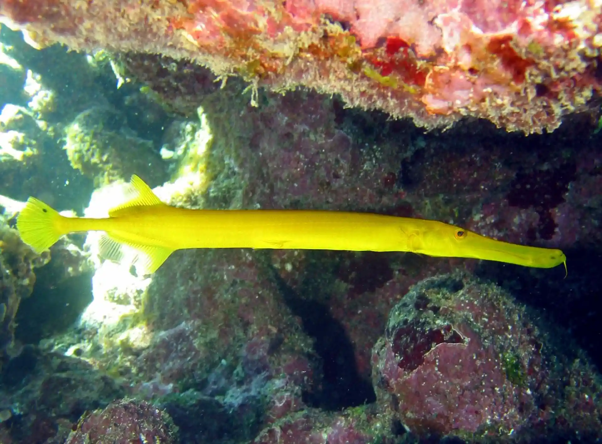 Dive site photo