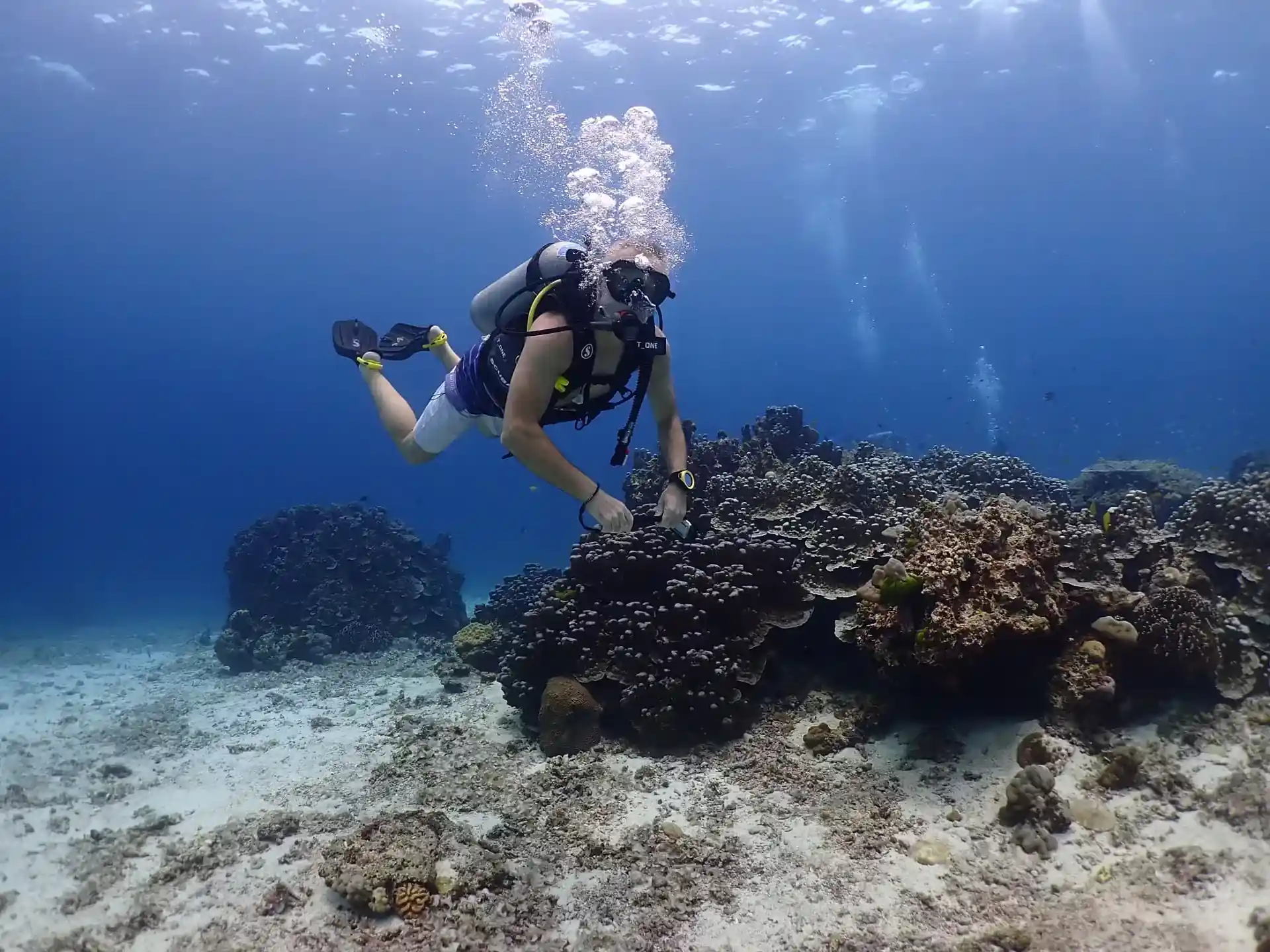 Photo du site de plongée