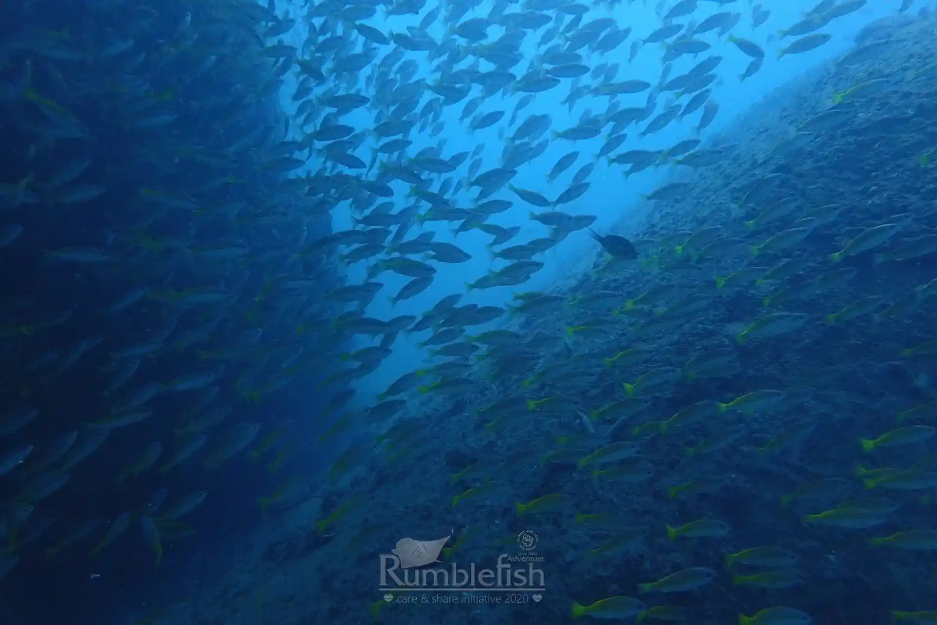 Dive site photo