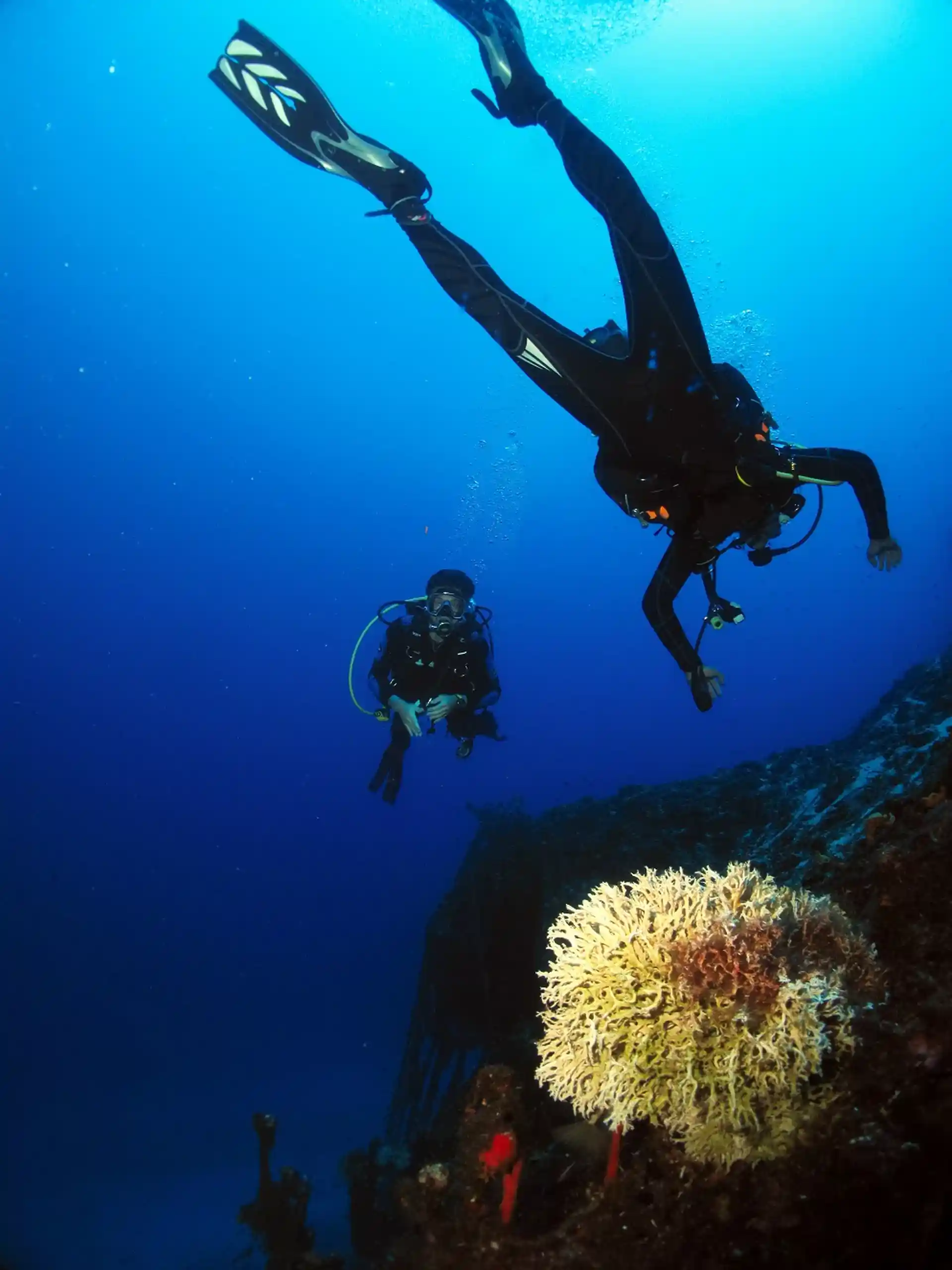 Foto de la actividad