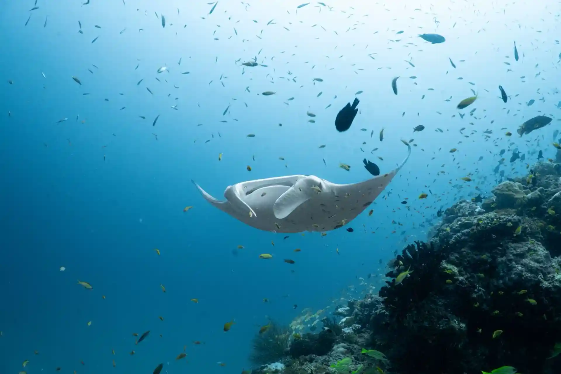 Dive shop photo