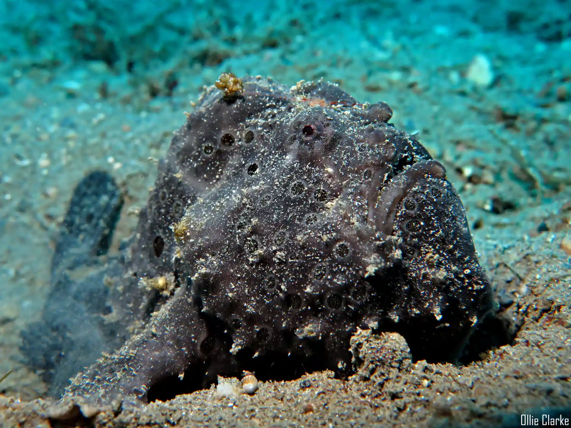 Foto de la actividad