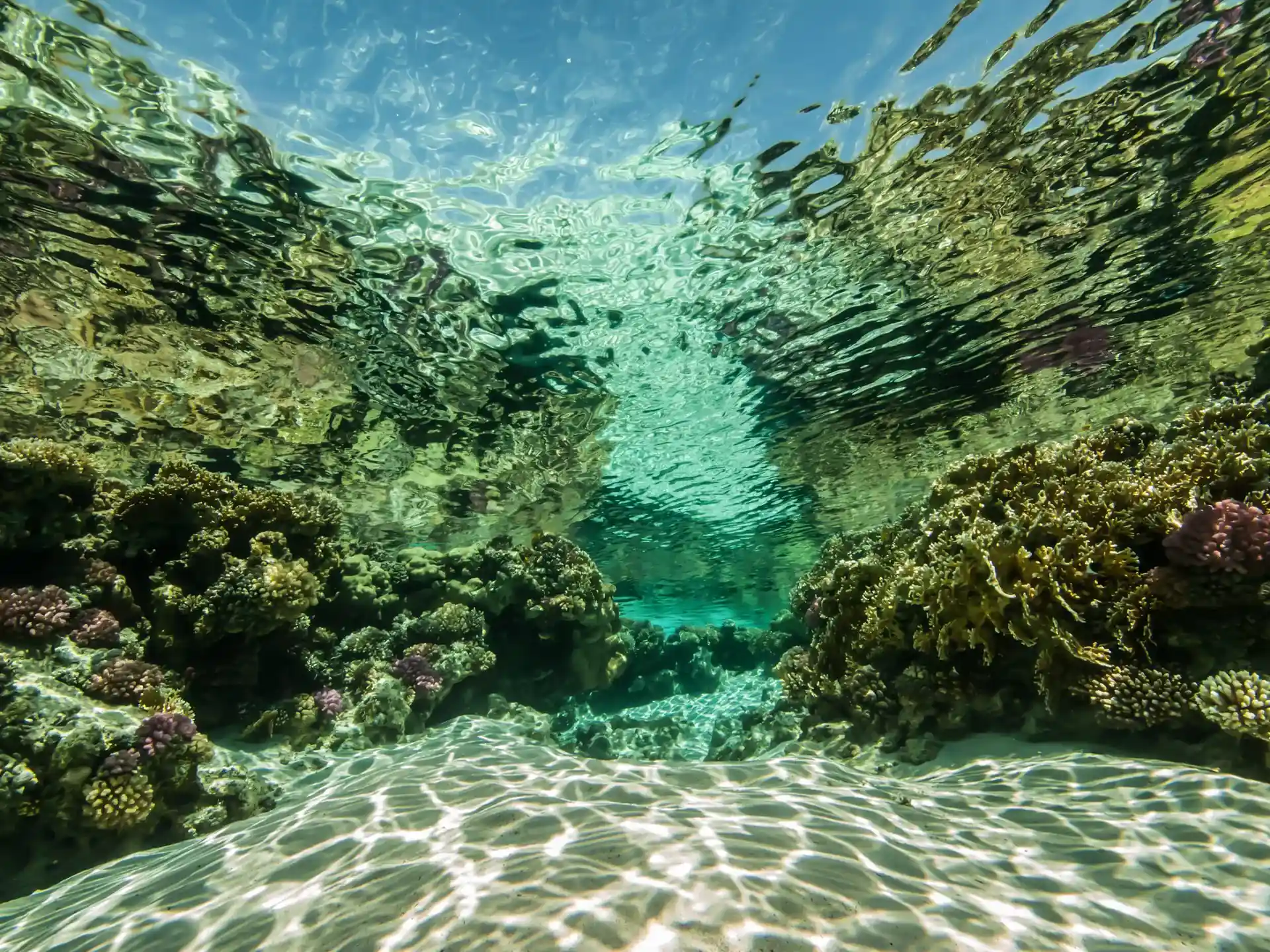 Dive site photo
