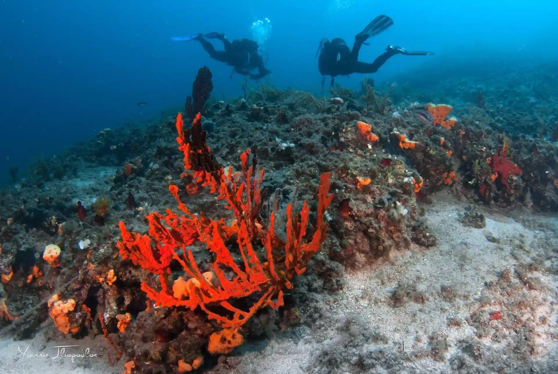 다이빙 포인트 사진