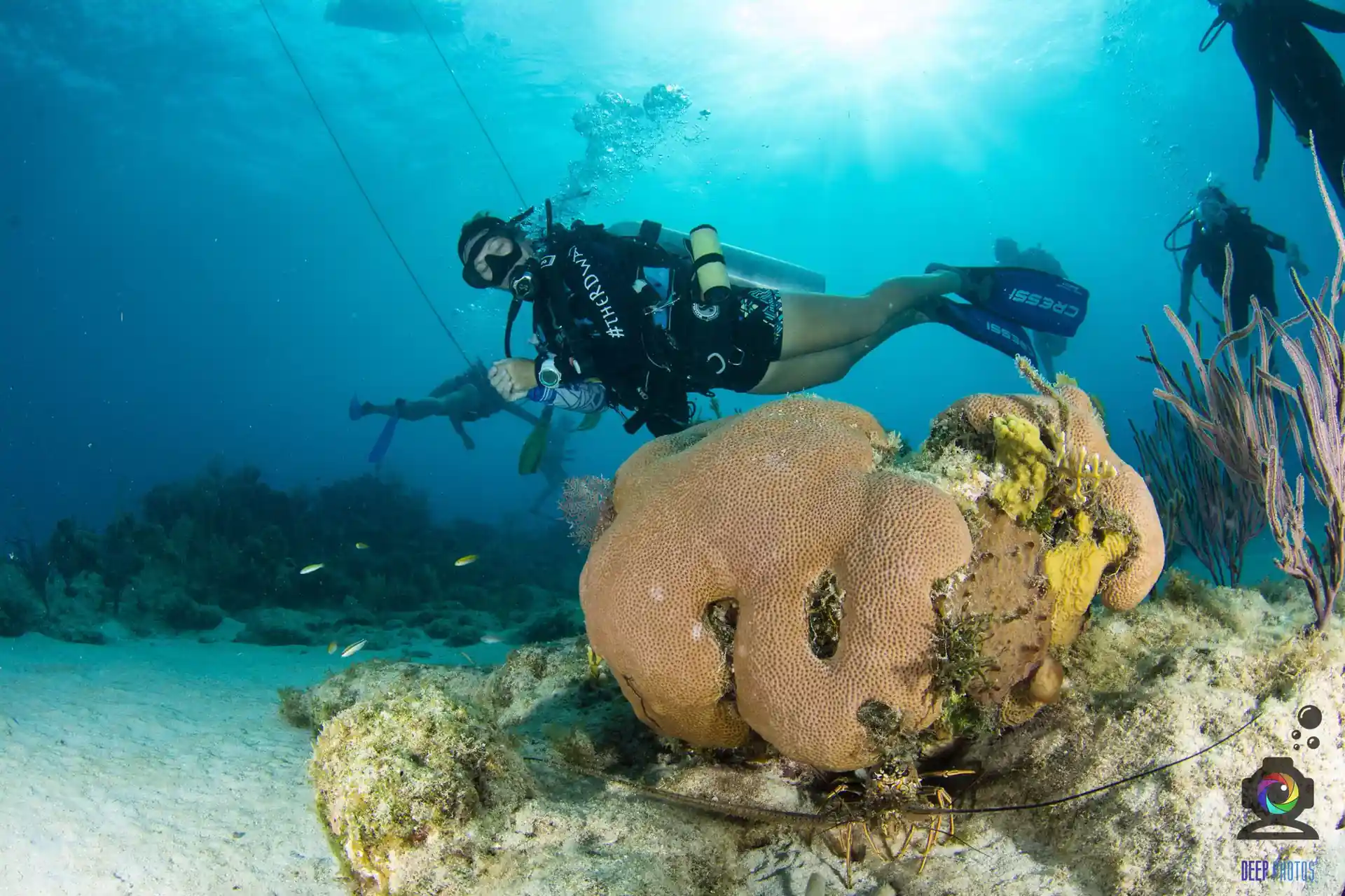 Dive site photo