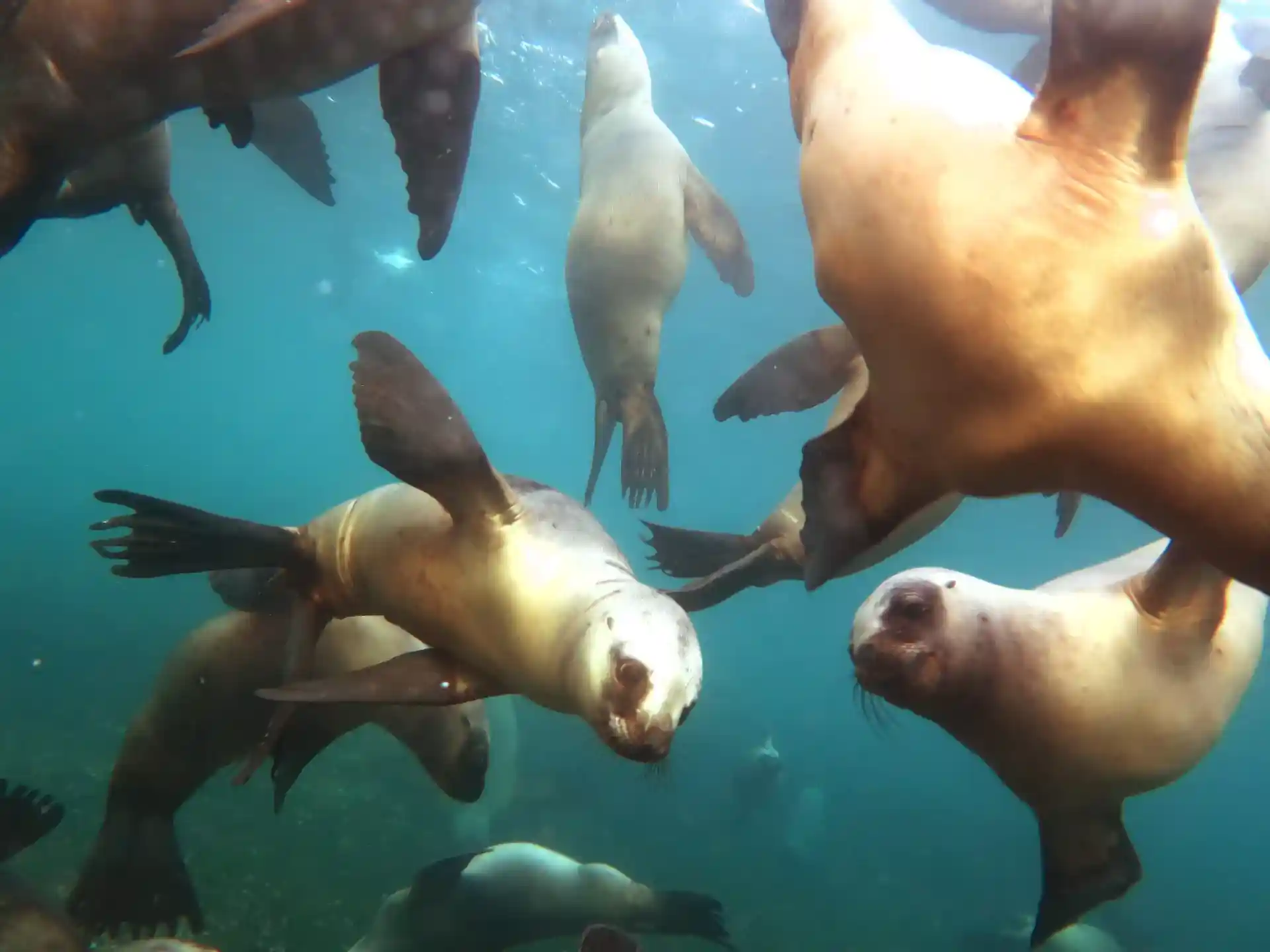 ダイビングサイトの写真