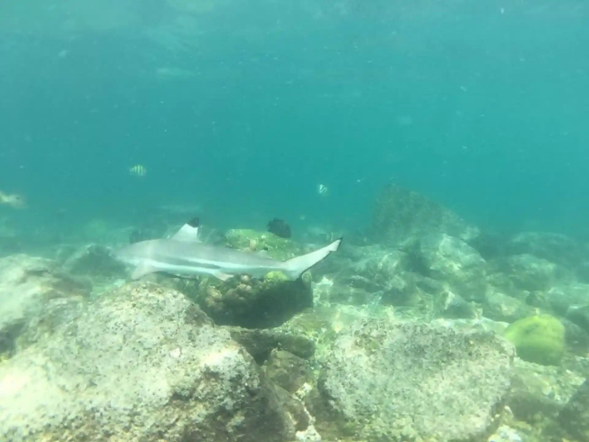 Dive site photo
