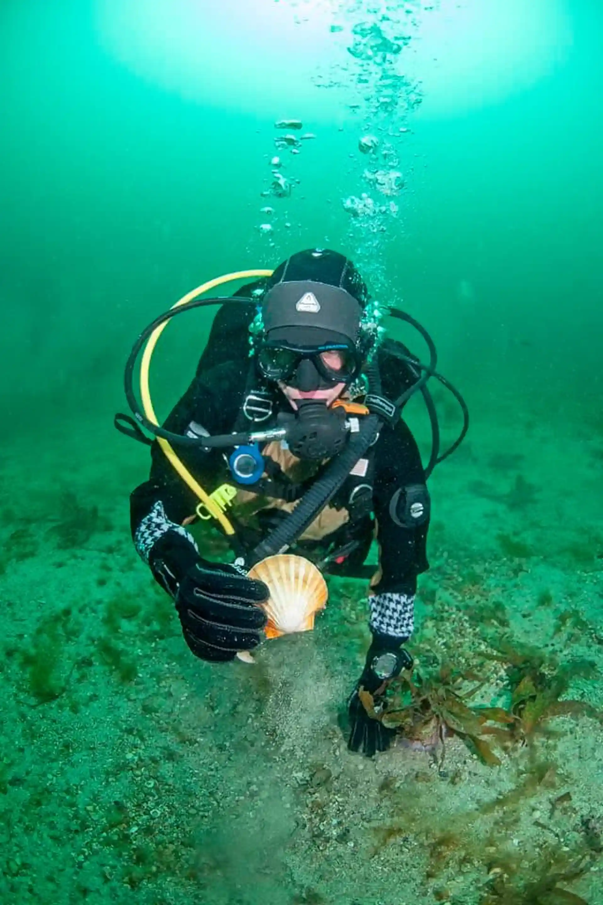 Dive shop photo