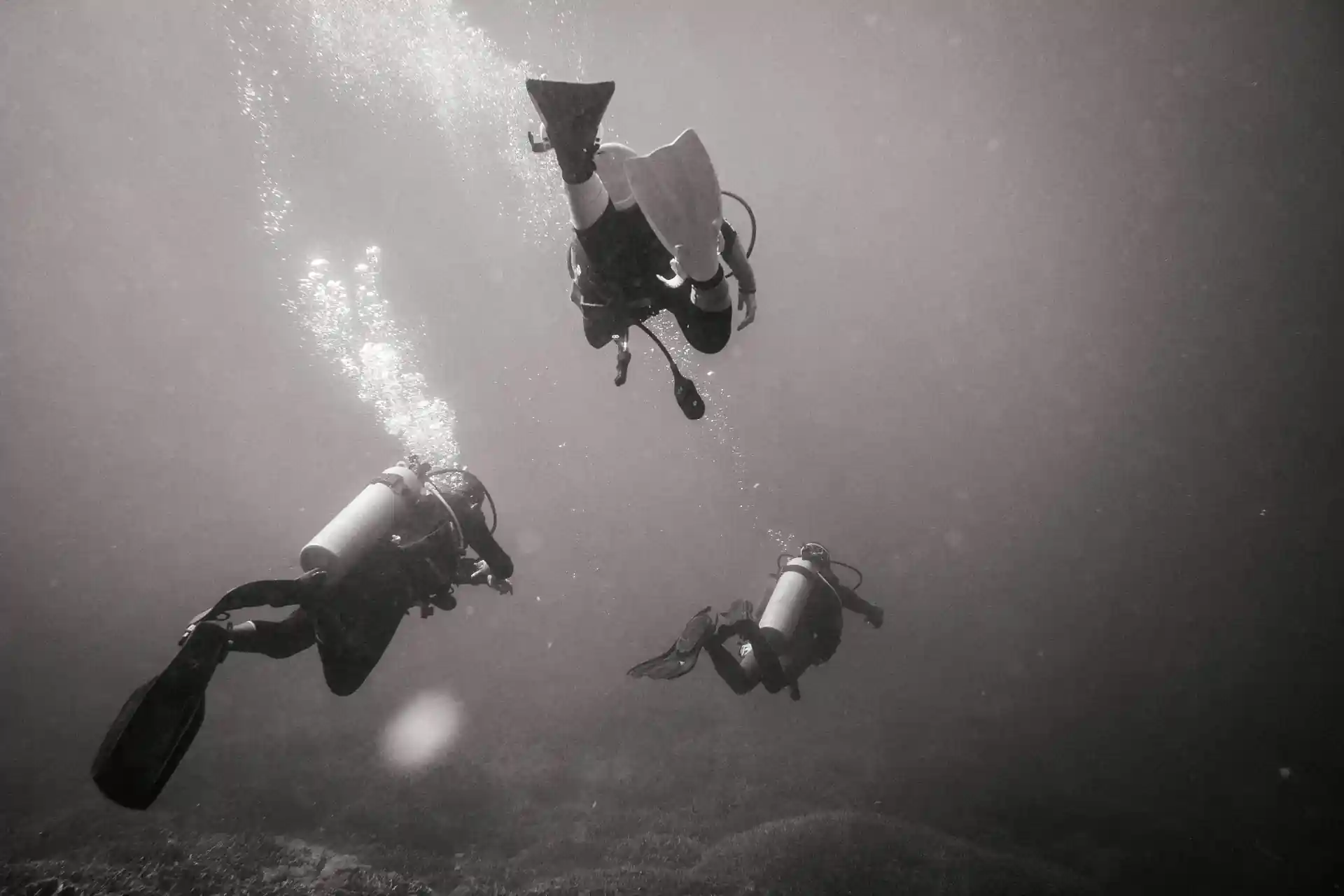 Photo de l'activité