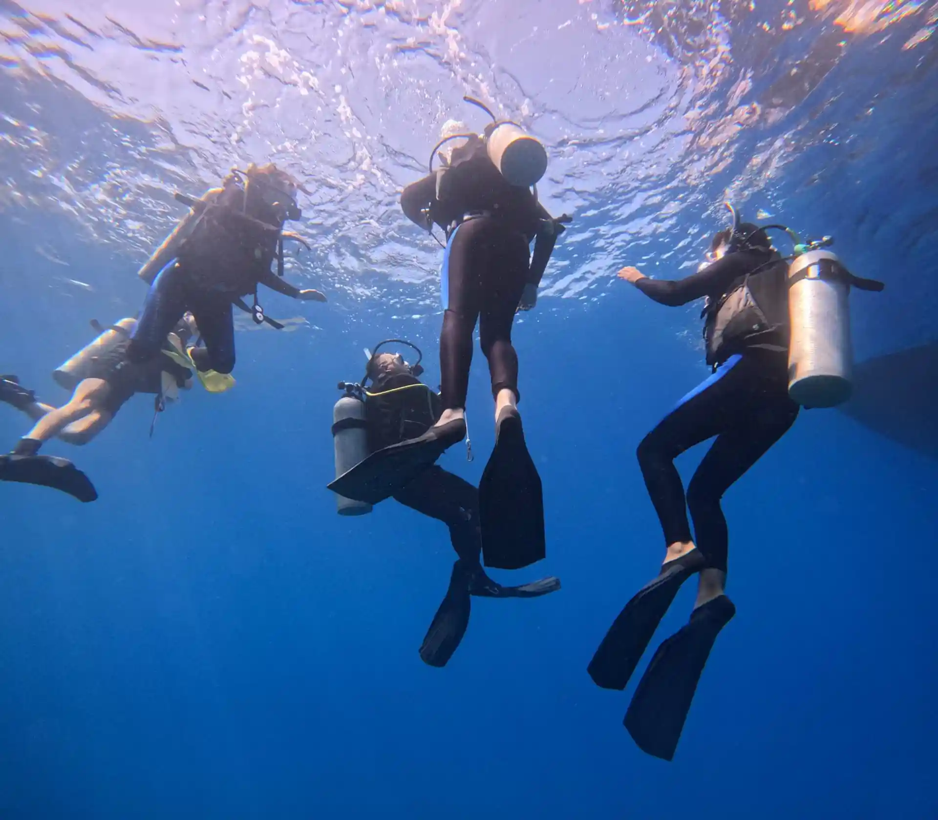 Diving is fun with us