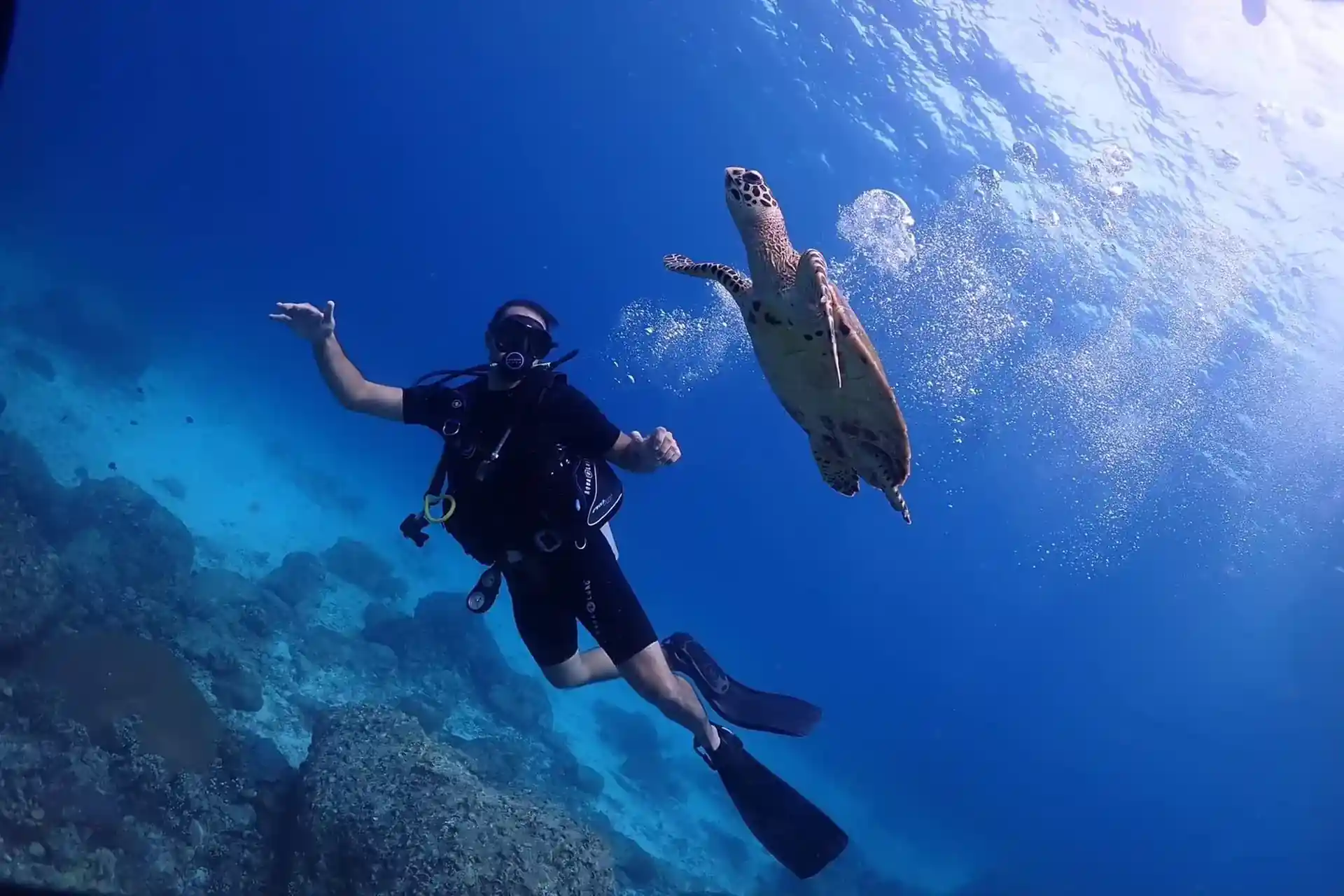 Dive shop photo