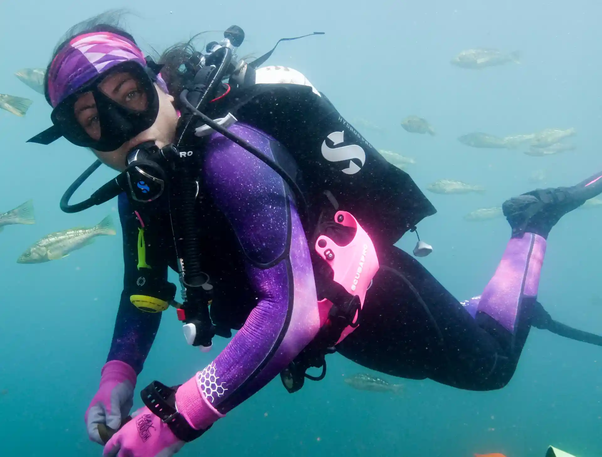 Some of the best diving in North America.