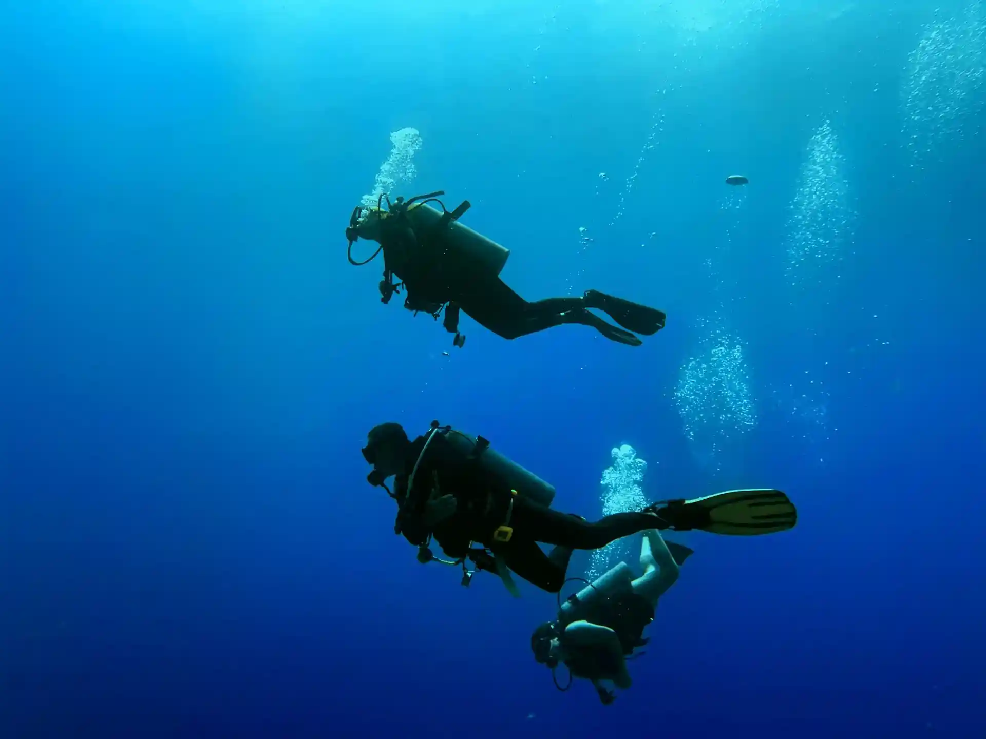 Dive site photo