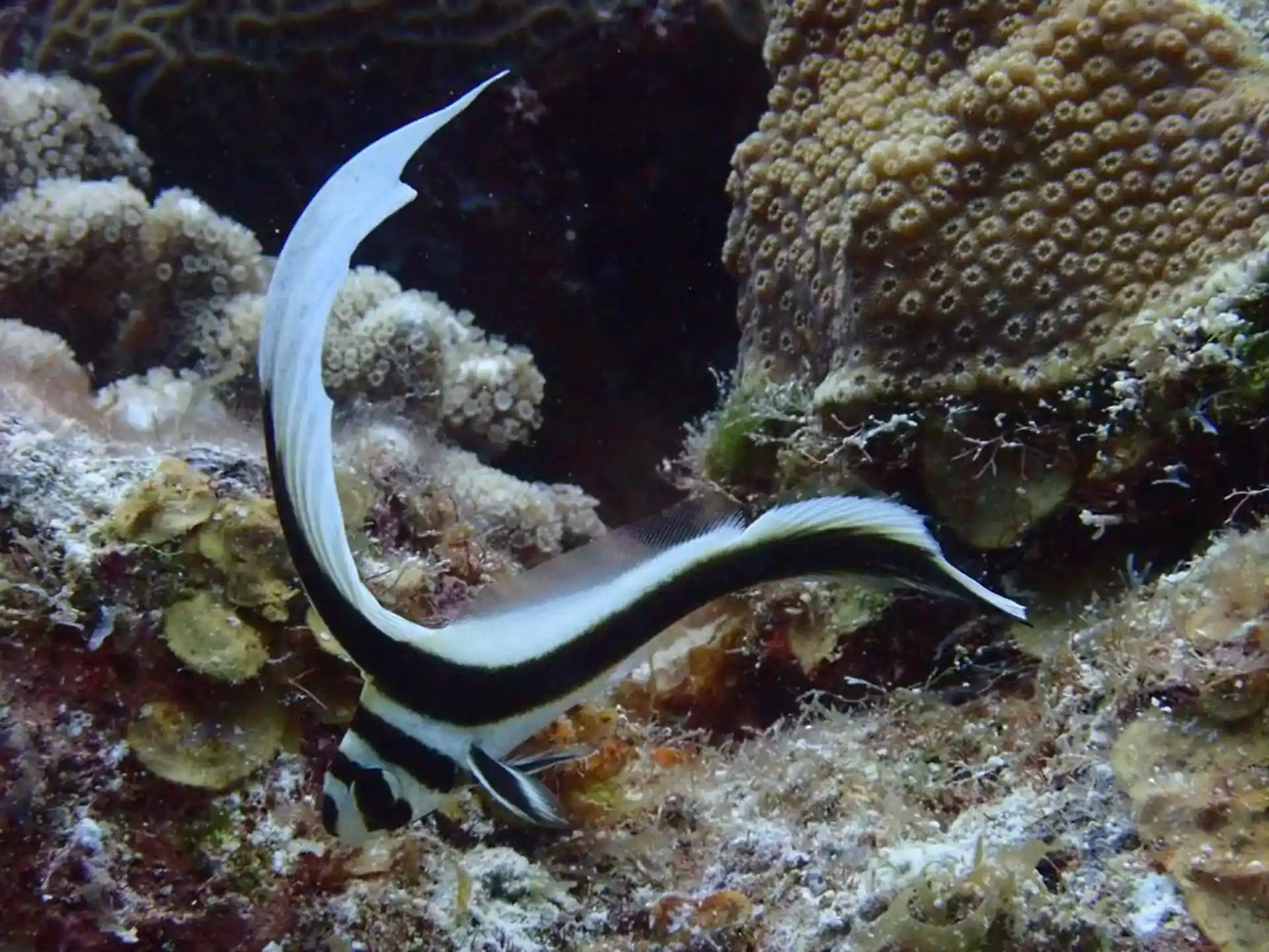 Dive shop photo