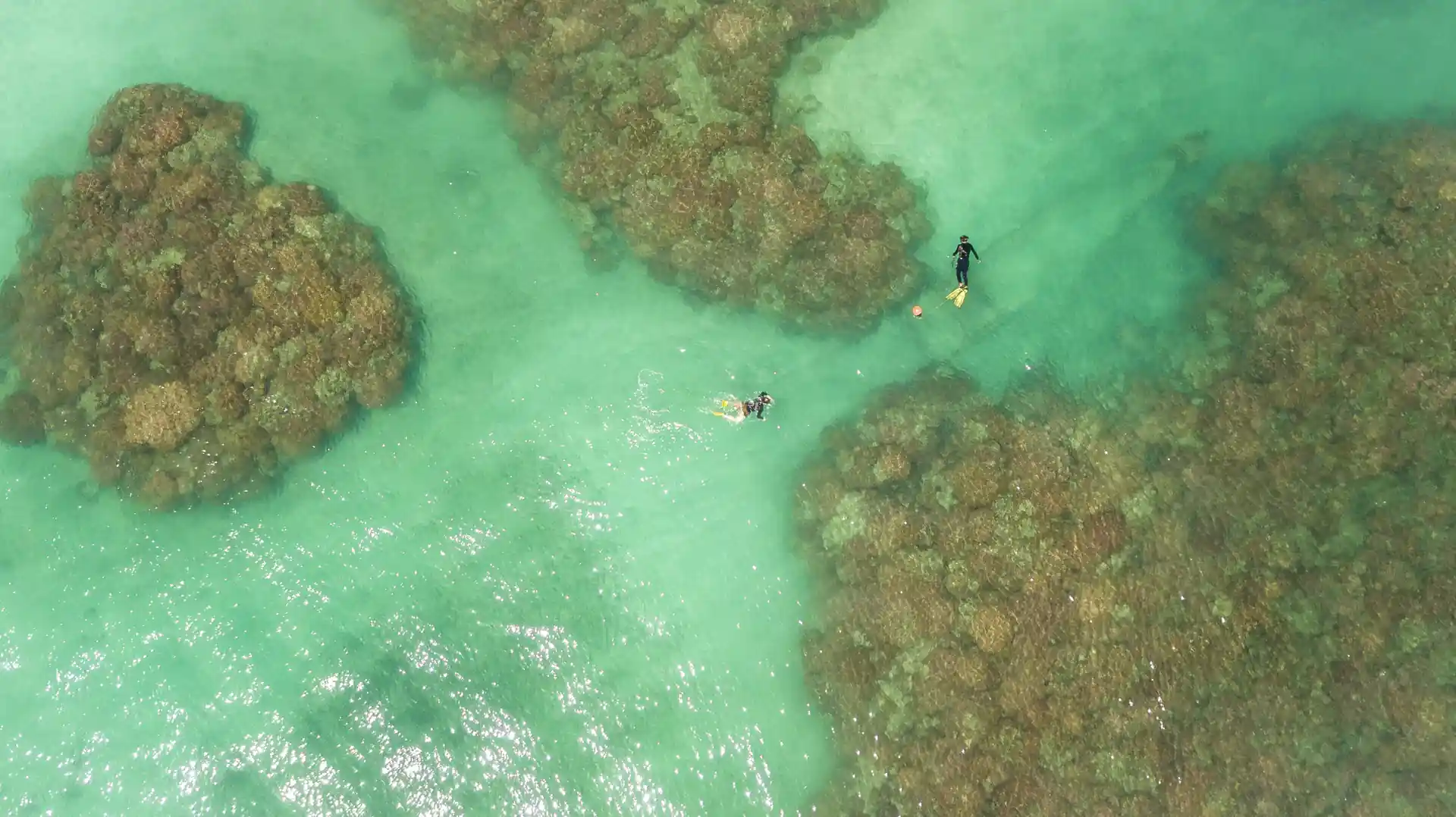 ダイビングサイトの写真