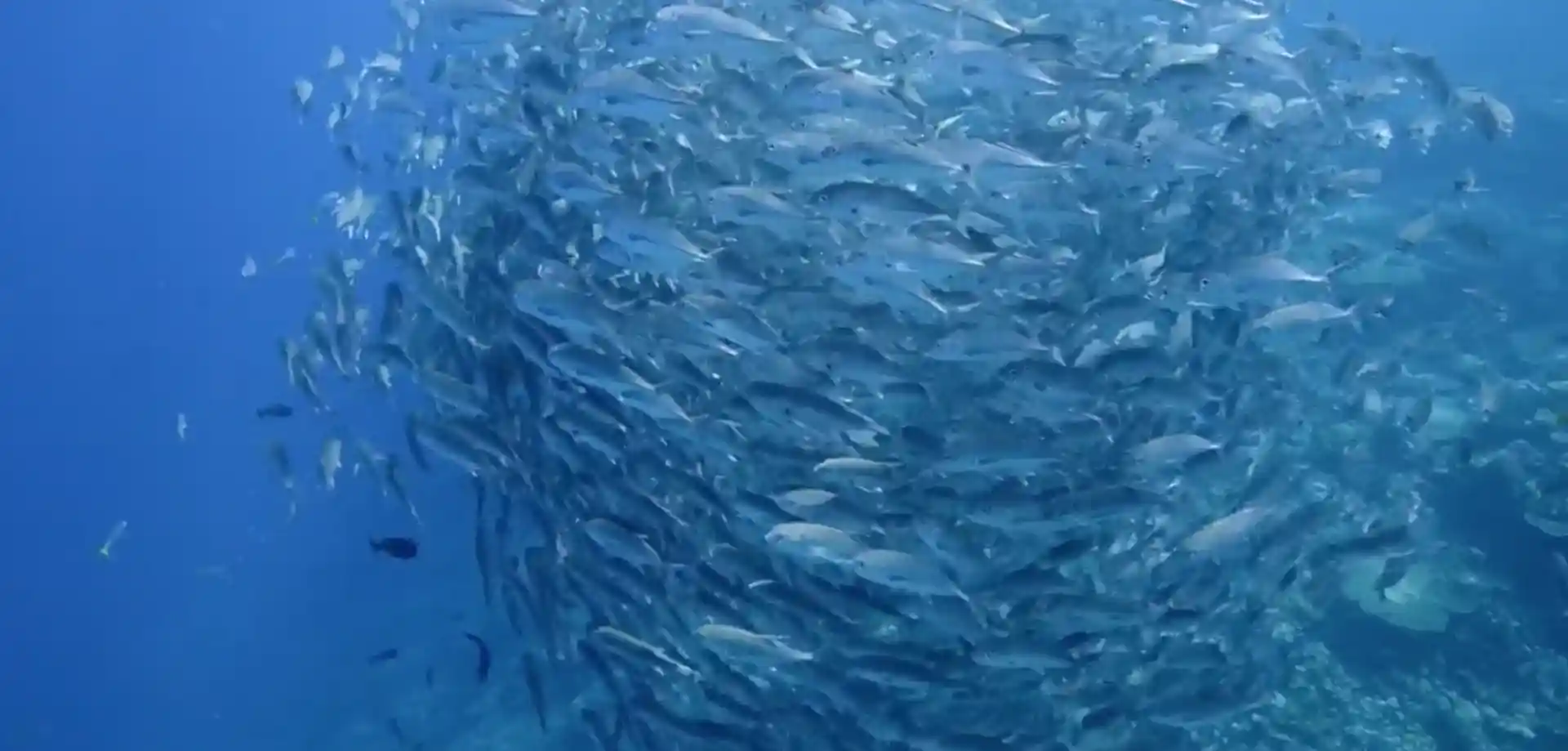 潜水点图片