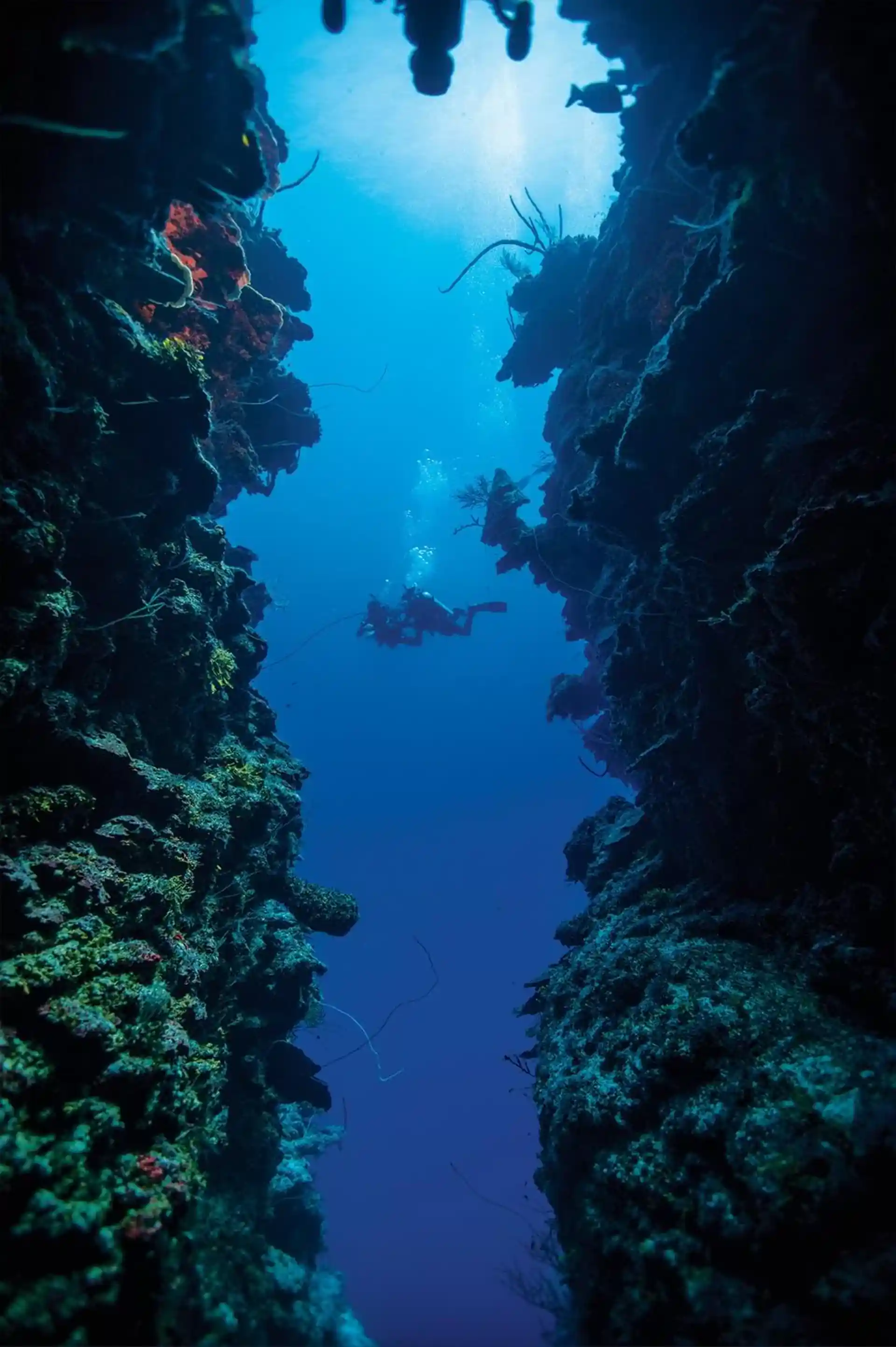 Dive site photo