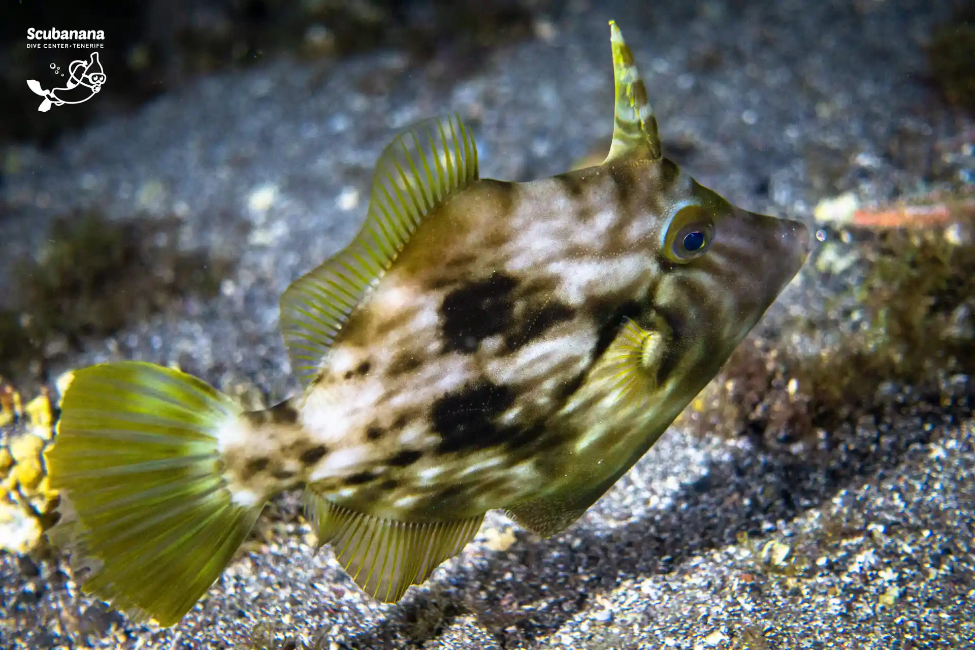 Foto de la actividad