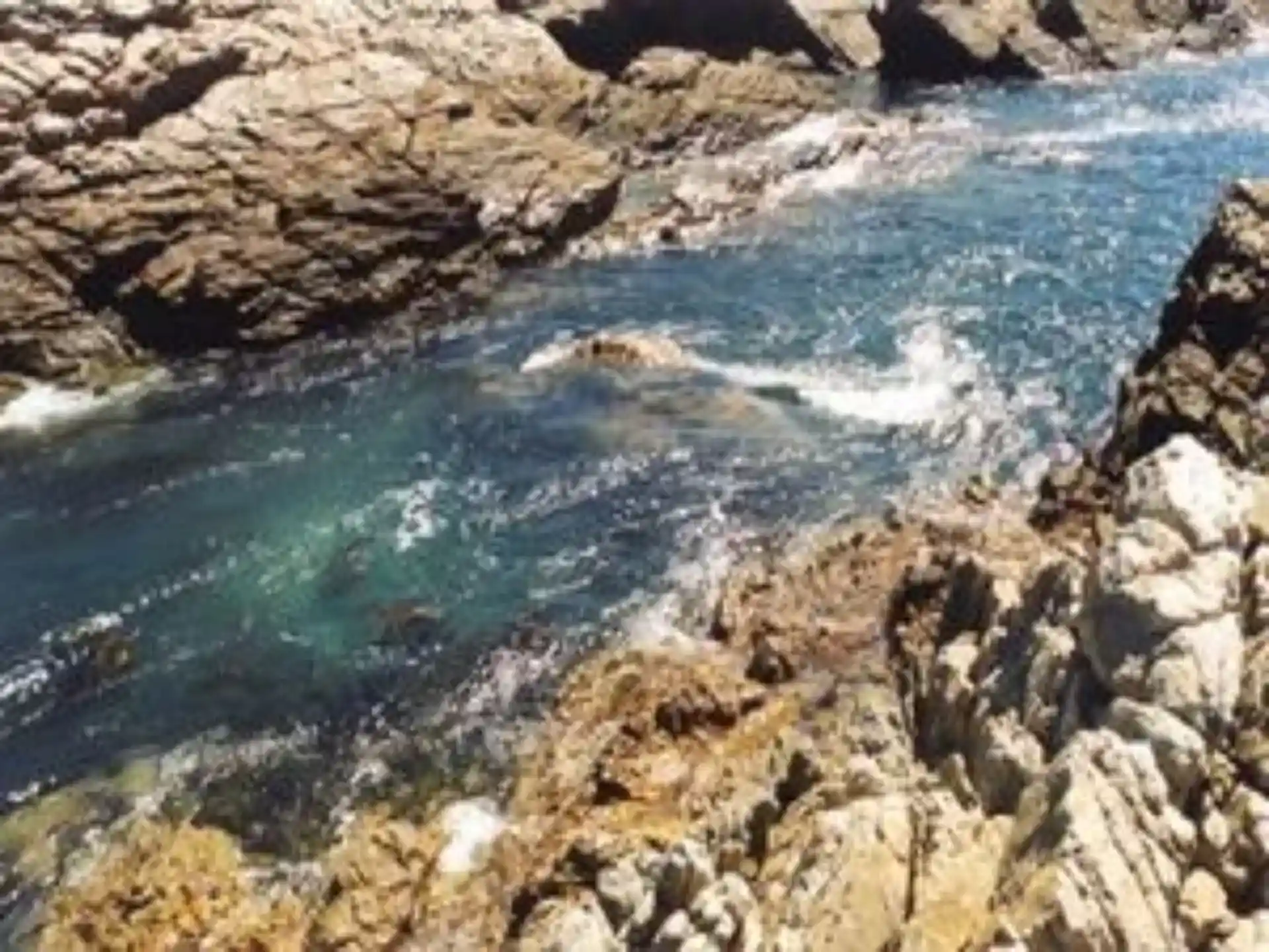 ダイビングサイトの写真