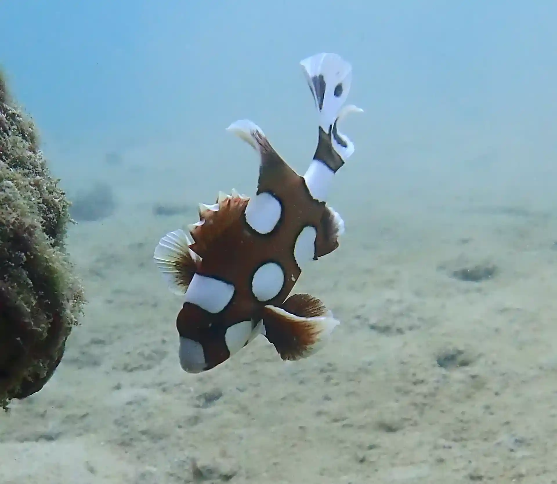 Photo du site de plongée