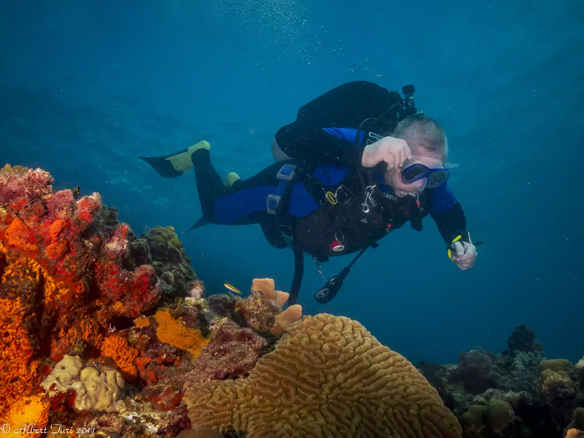 Couleurs des récifs coralliens!