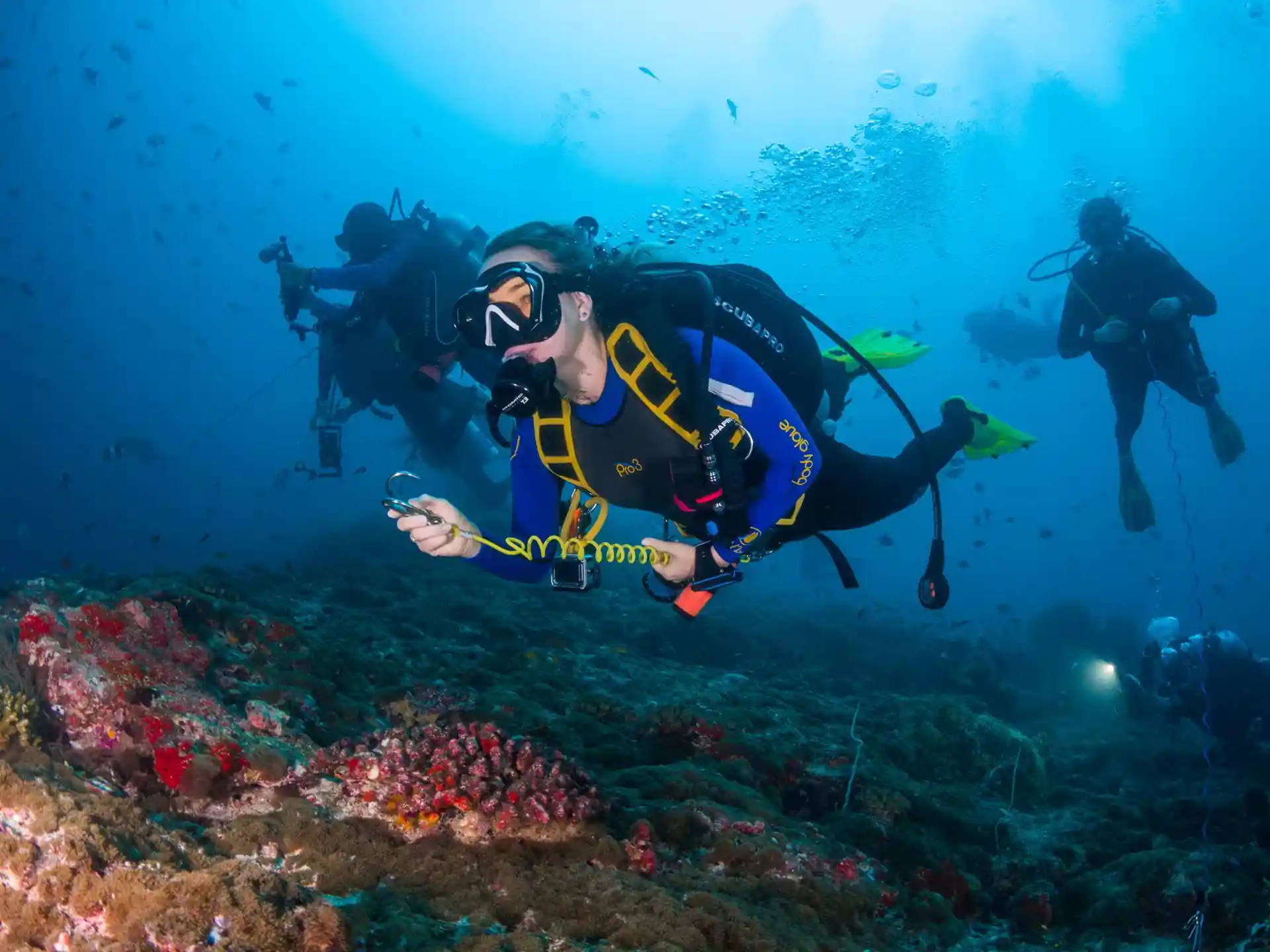 Dive shop photo