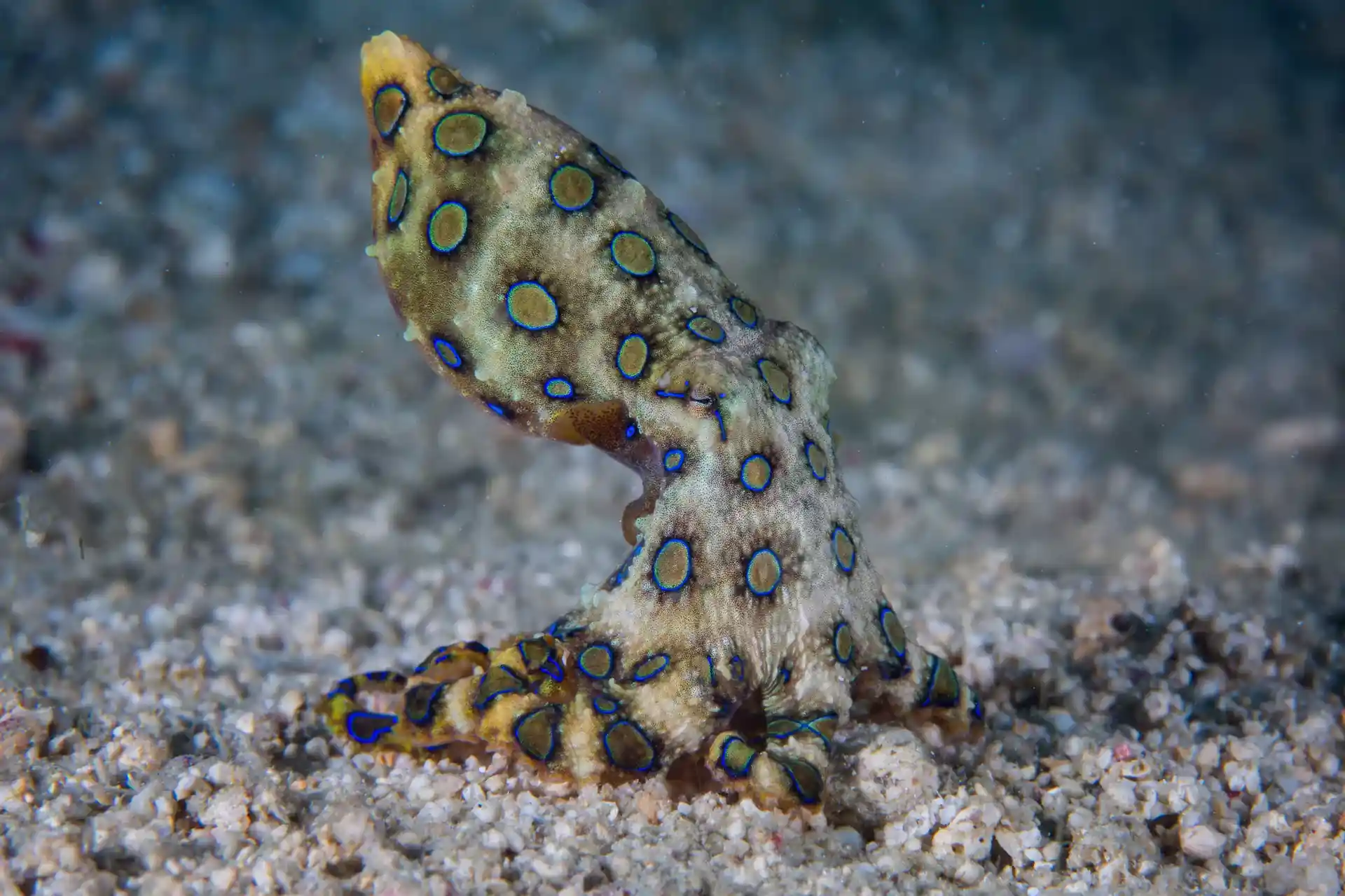Dive site photo